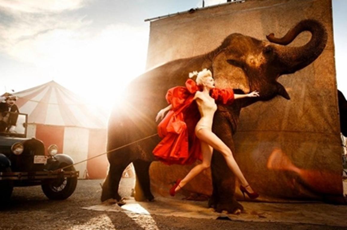 Kristian Schuller Color Photograph – Elefant I - farbenfrohes Porträt eines Modells in einem Zirkus