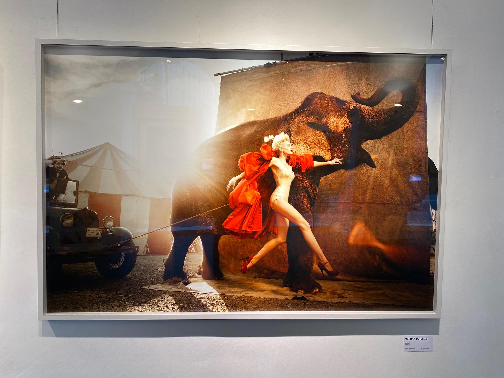 Elefant I - farbenfrohes Porträt eines Modells in einem Zirkus – Photograph von Kristian Schuller