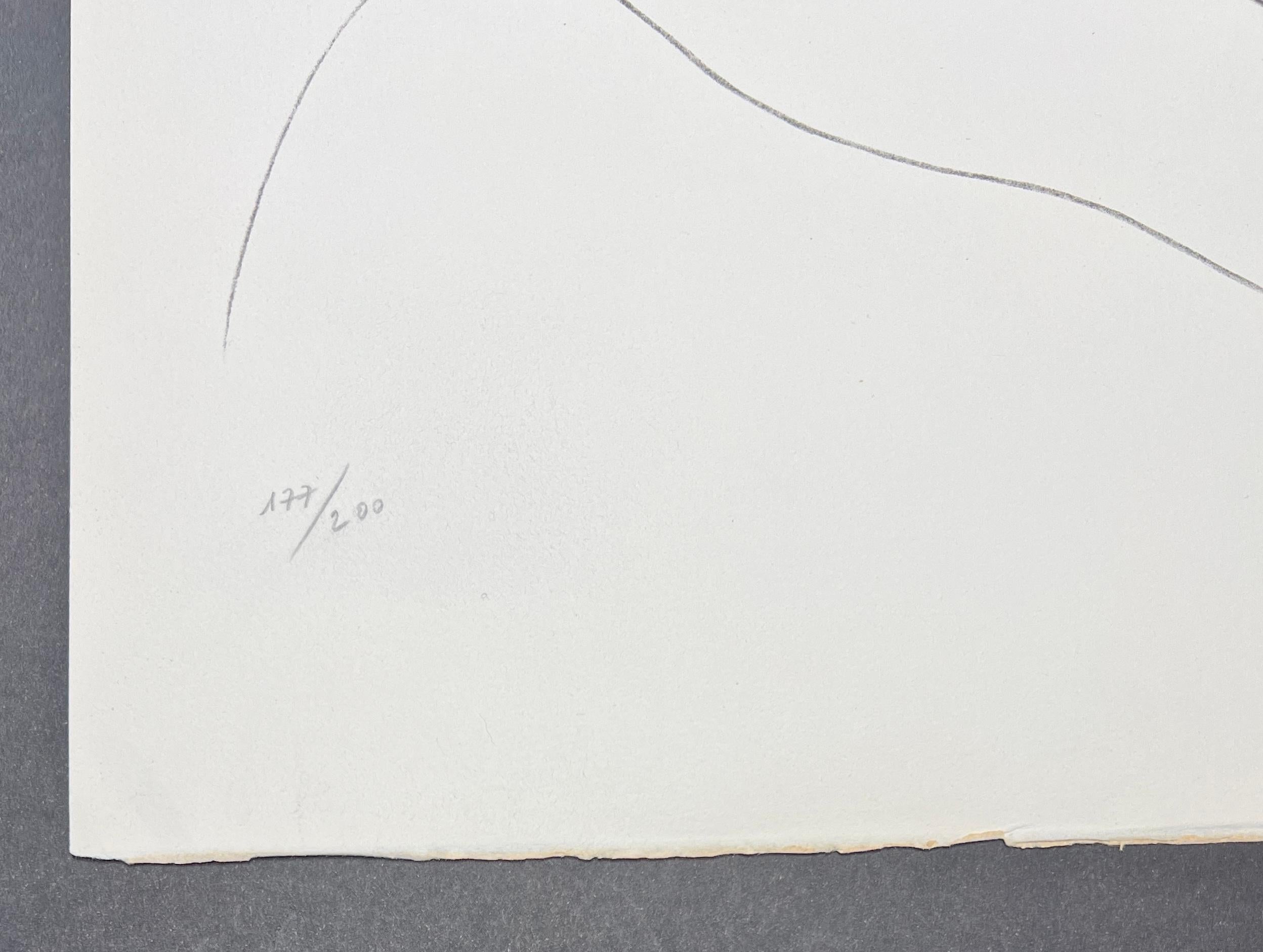 Pablo Picasso ( 1881 - 1973 ) - Lithographie en couleurs sur papier Arches - 1968 en vente 4