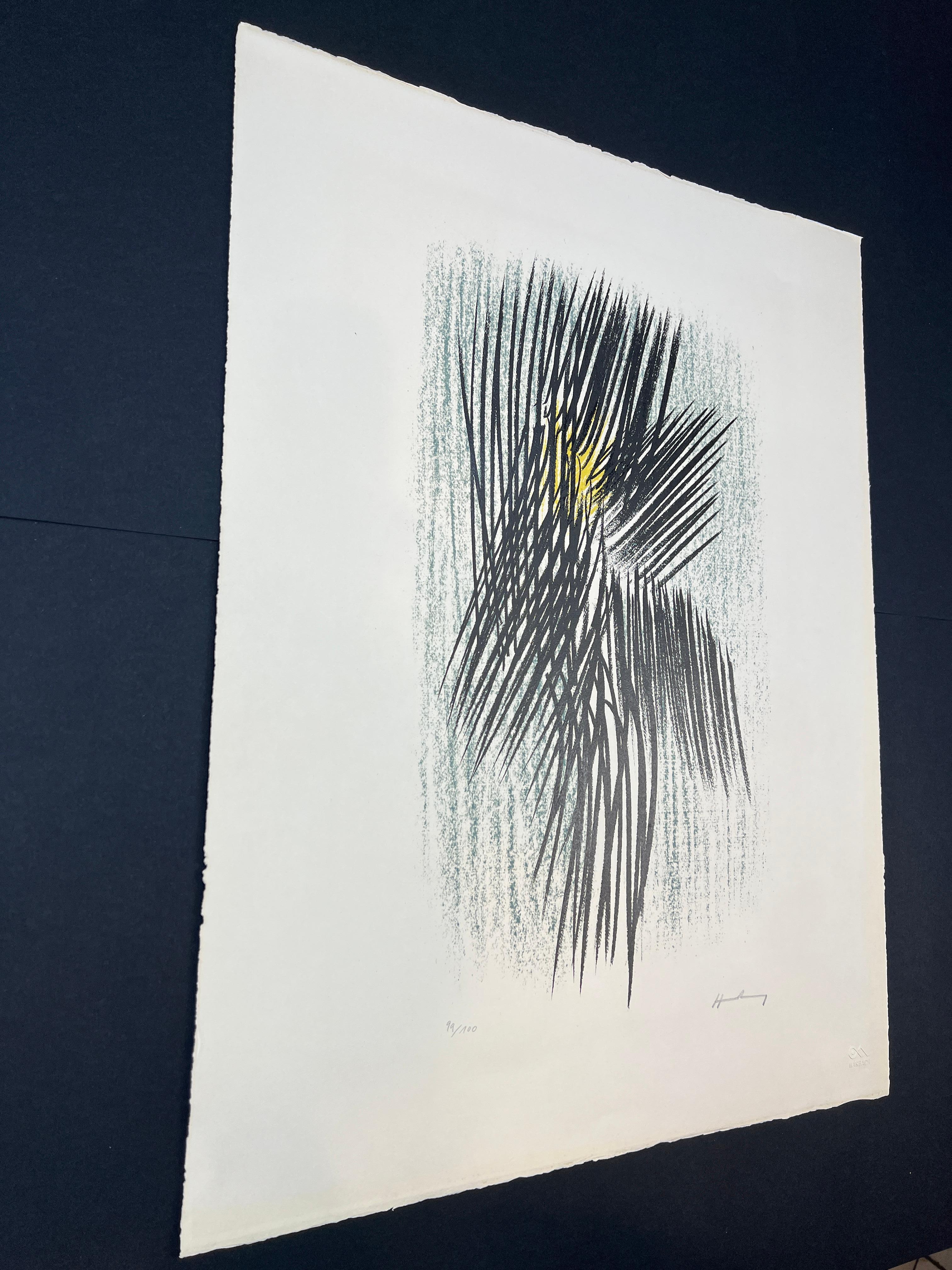 Hans Hartung (1904-1989) - L 22 - 1957 - Litografia a colori su carta BFK Rives in vendita 7