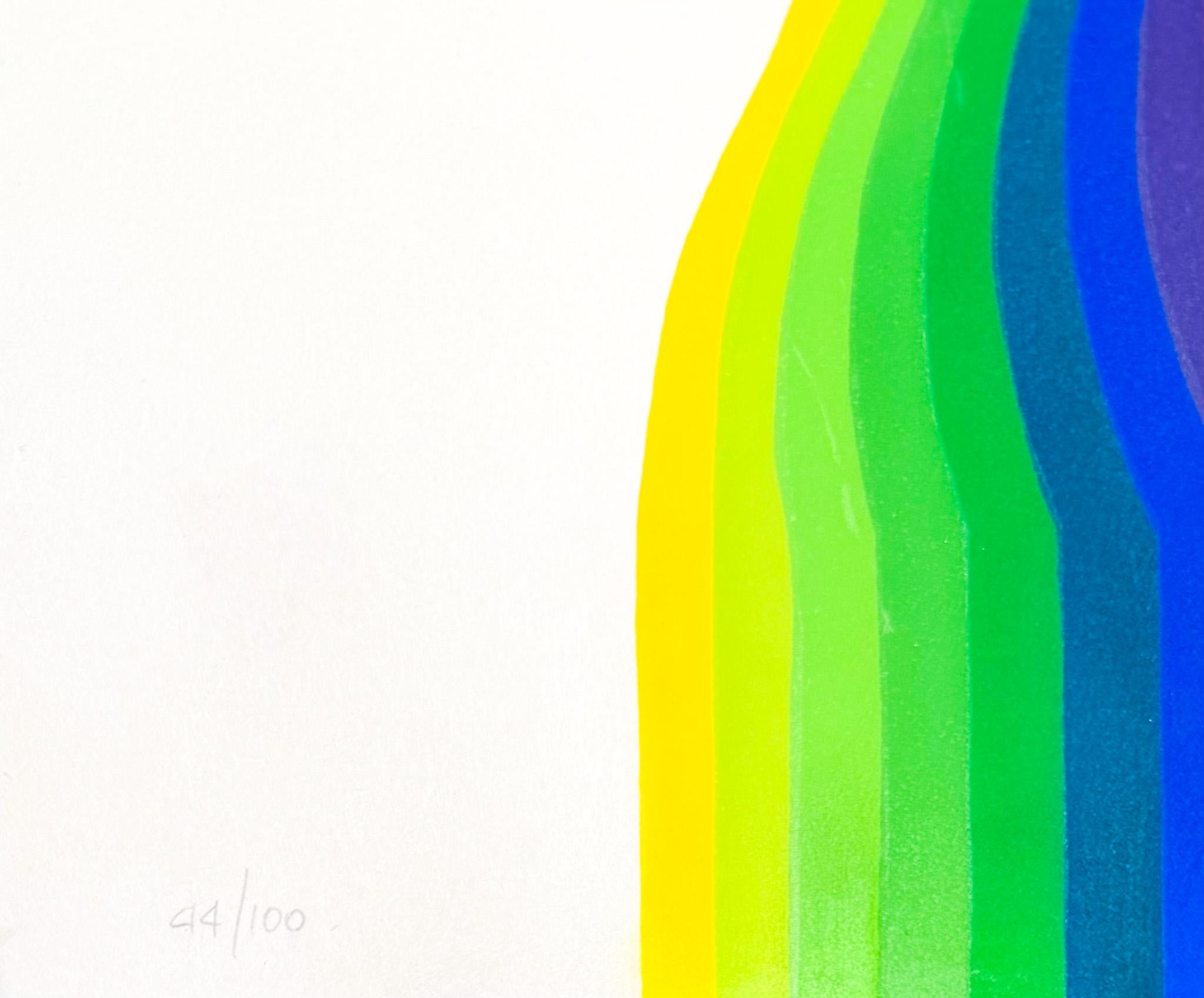 Julio Le Parc (1928) - serigrafia su carta - 1973 in vendita 4