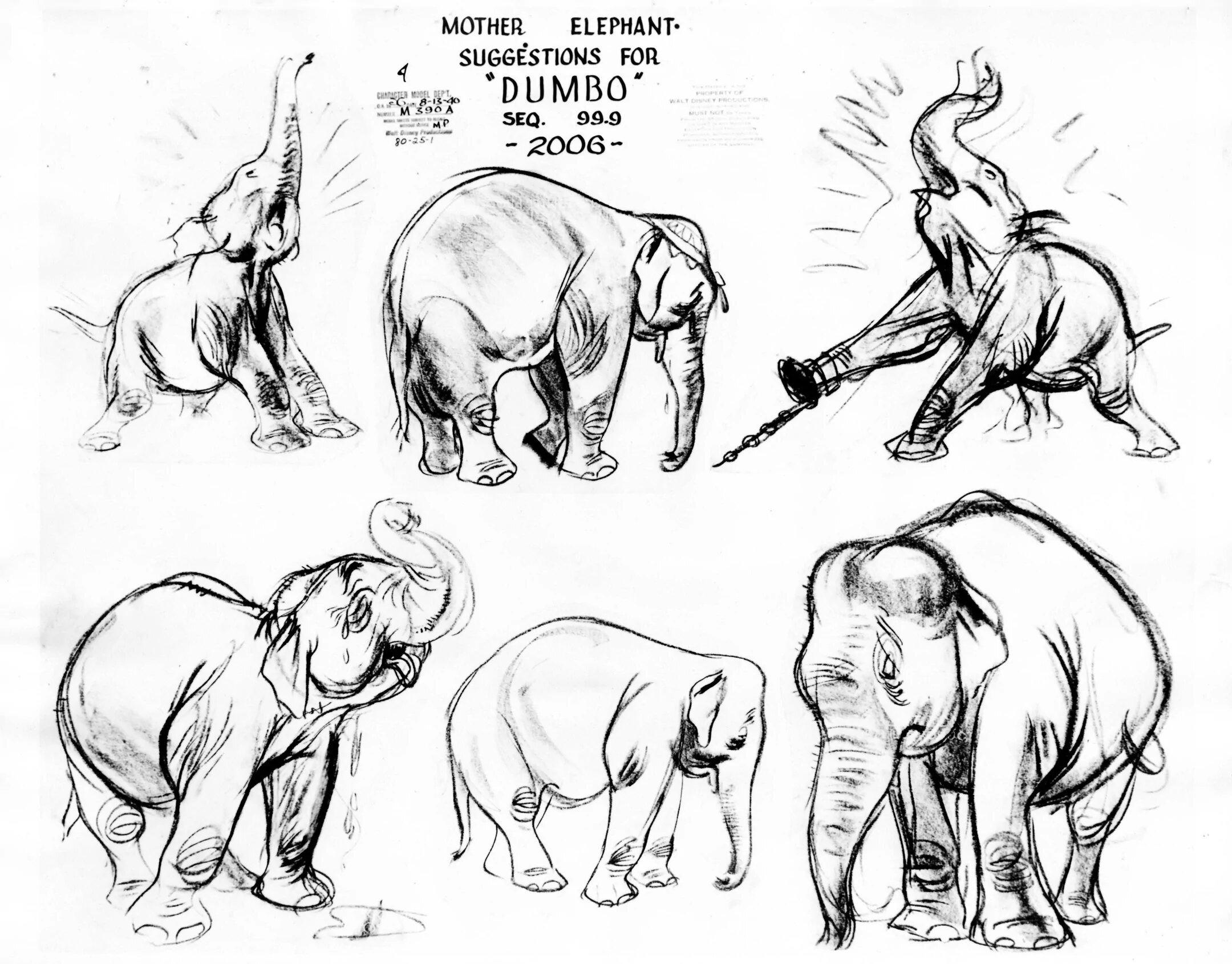 Dumbo Original Production Model Sheet: Mother Elephant Suggestions - Art by Walt Disney Studio Artists