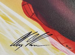 Visions Spider-Man signed by Alex Ross