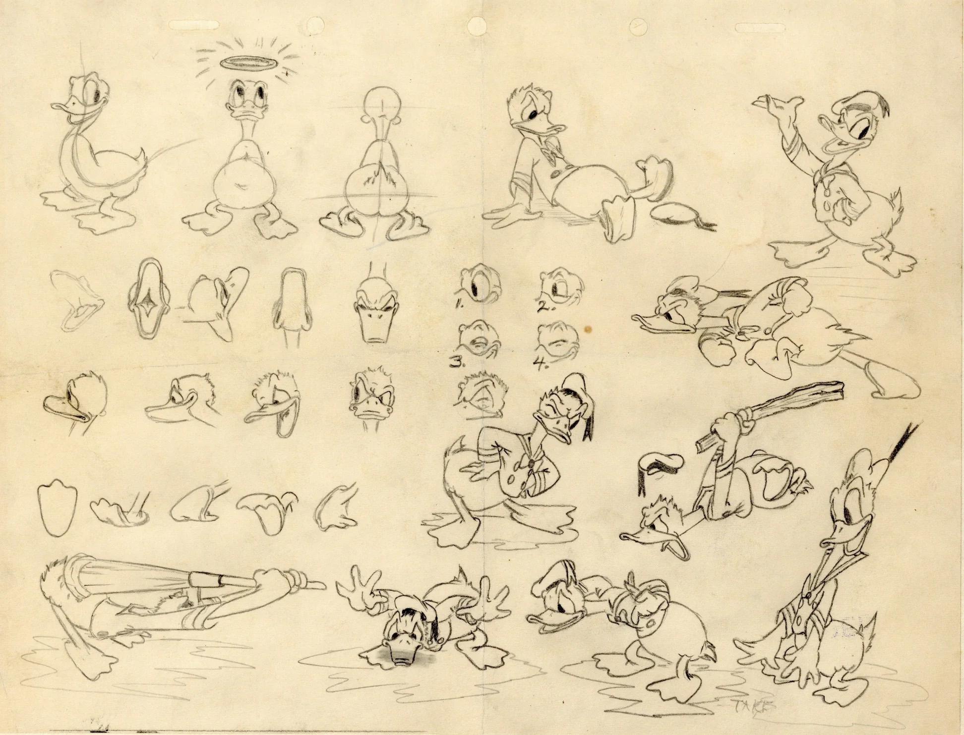 Donald Duck, Modell-Blattzeichnung – Art von Walt Disney Studio Artists