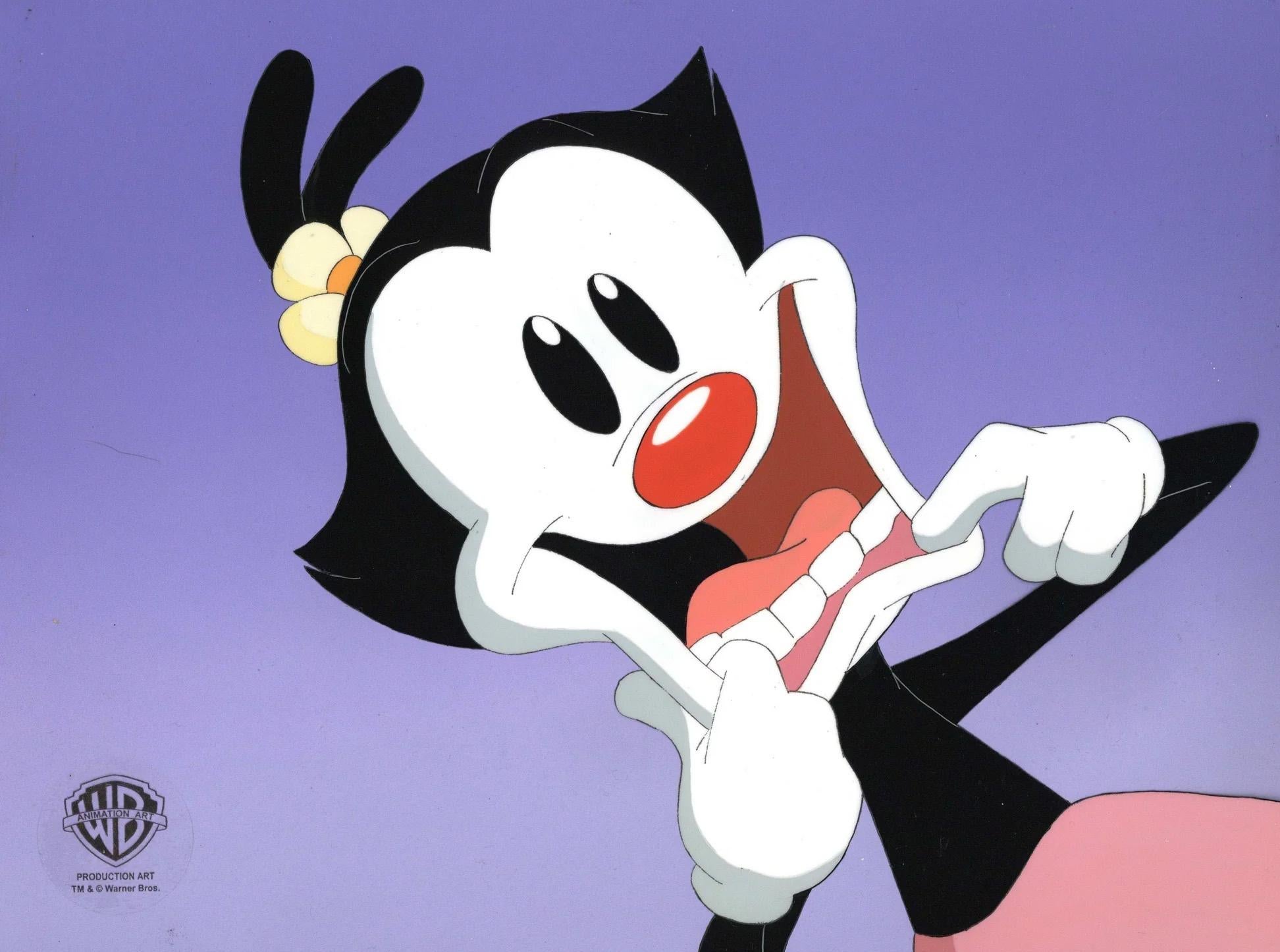 Animaniacs Original Production Cel and Background with Matching Drawing: Dot - Art by Warner Bros. Studio Artists
