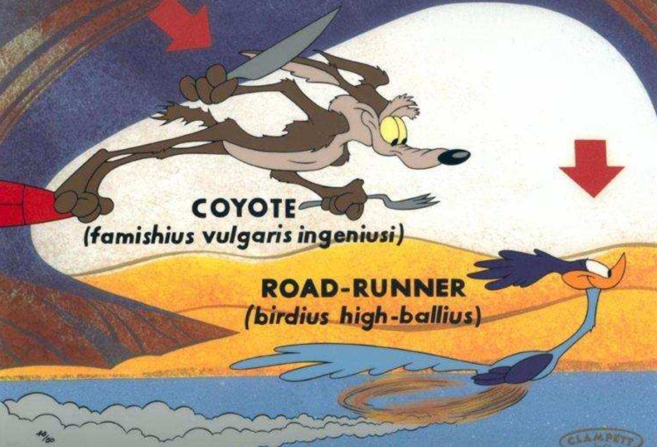 Койот и дорожный бегун. Ворнер бразерс койот миг миг. Coyote and Roadrunner segments. Хитрый койот стих. Wild Coyote and Roadrunner Comics.