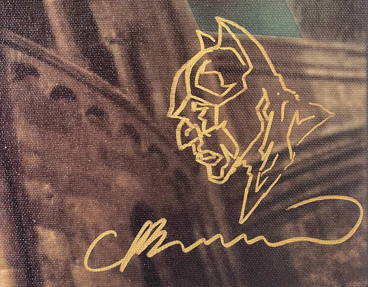 Batman #1 signed and remarqued by Lee Bermejo - Pop Art Art by DC Comics Studio Artists