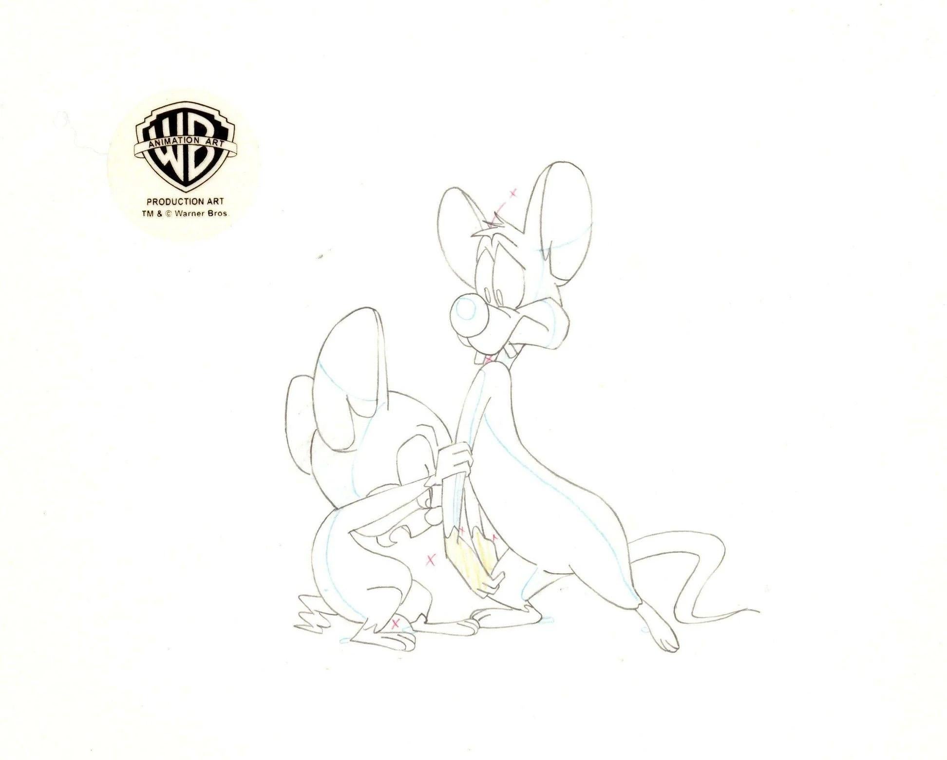 Pinky And The Brain Original Production Drawing: Pinky And Brain - Art by Warner Bros. Studio Artists