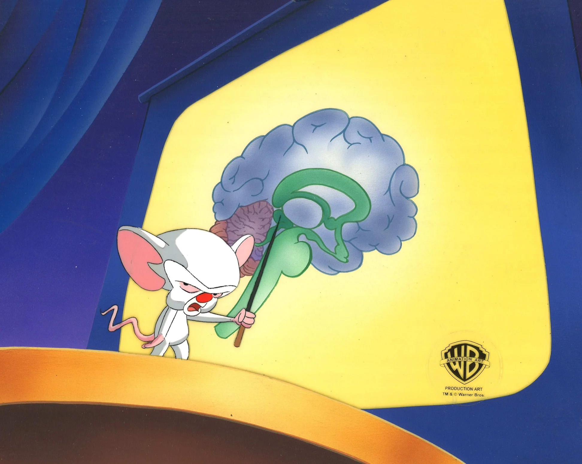 Pinky And The Brain Original Production Cel on Original Background: Brain - Art by Warner Bros. Studio Artists