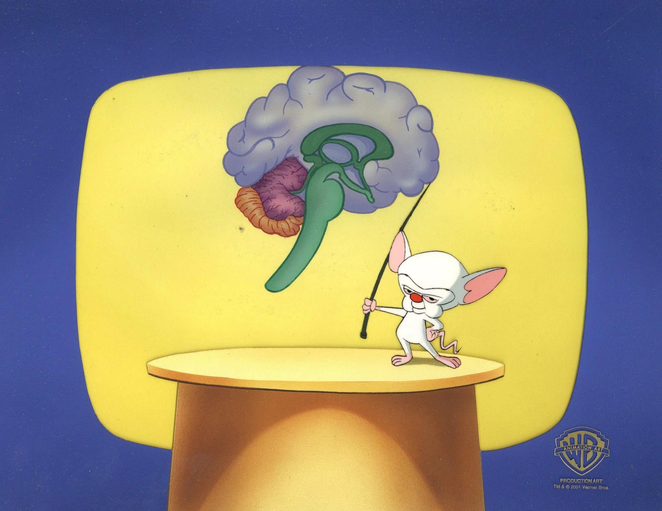Pinky And The Brain Original Production Cel on Original Background: Brain - Art by Warner Bros. Studio Artists