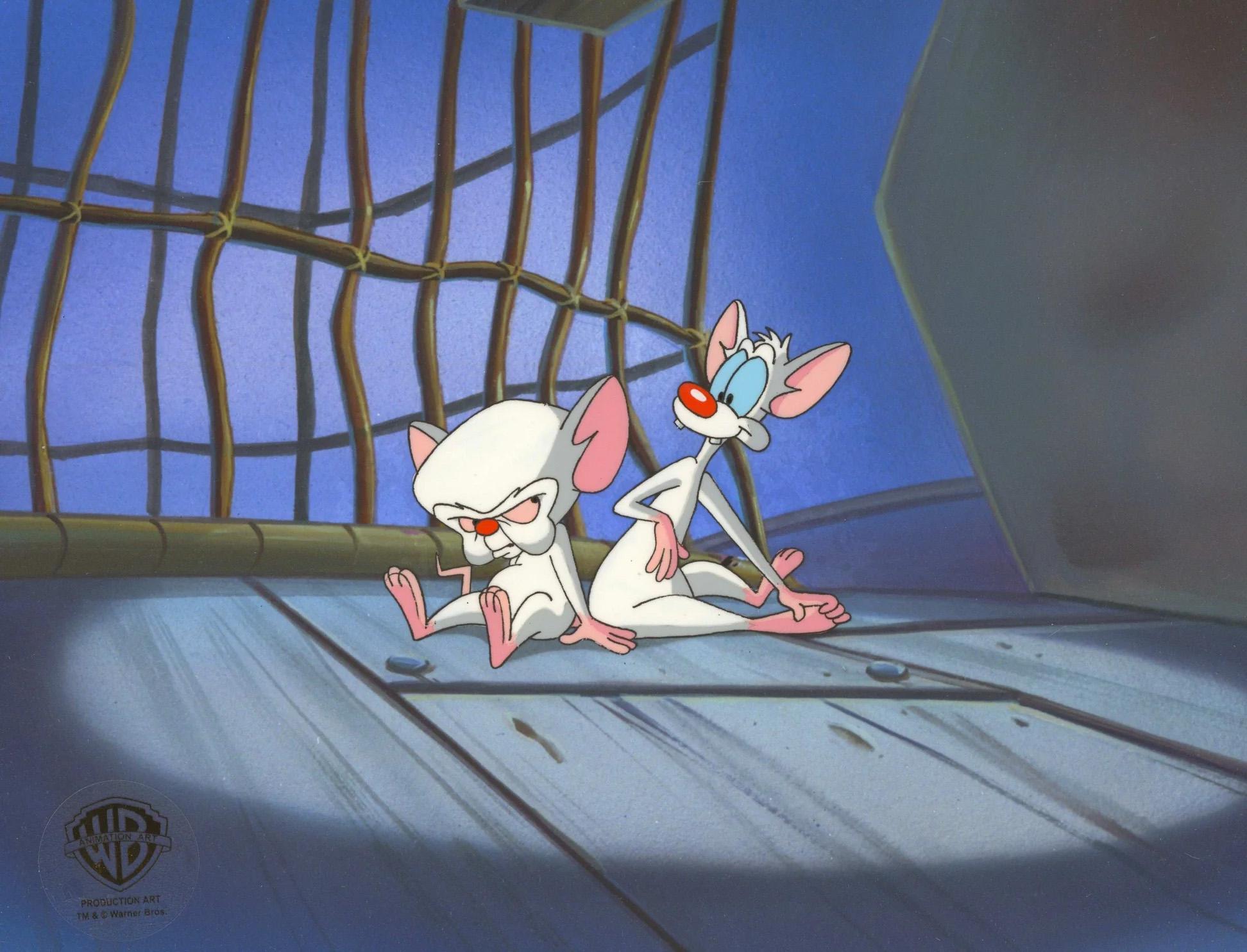 Warner Bros. Studio Artists - Pinky And The Brain Original Production Cel:  Pinky and Brain For Sale at 1stDibs