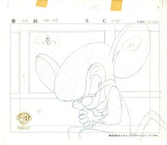 Animaniacs Original Production Layout Drawing: Brain
