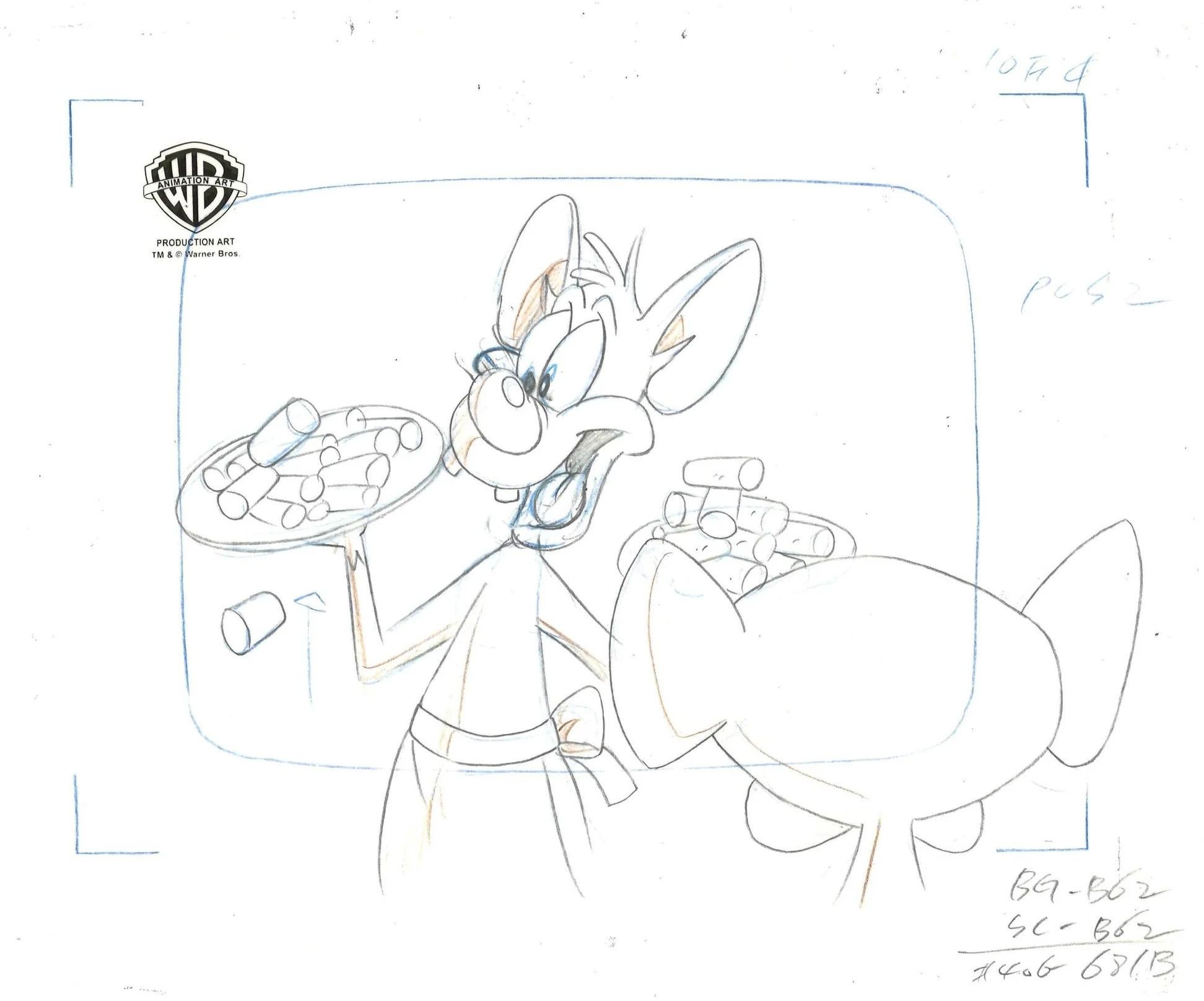 Animaniacs dessin de production d'origine : rose et perruque - Art de Warner Bros. Studio Artists