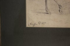 The Parading Persian Horse