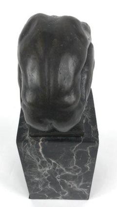 the Diver