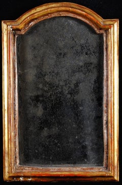 Foxed Mirror - 19th Century French Mercury Glass Antique Gilt Wood Mirror