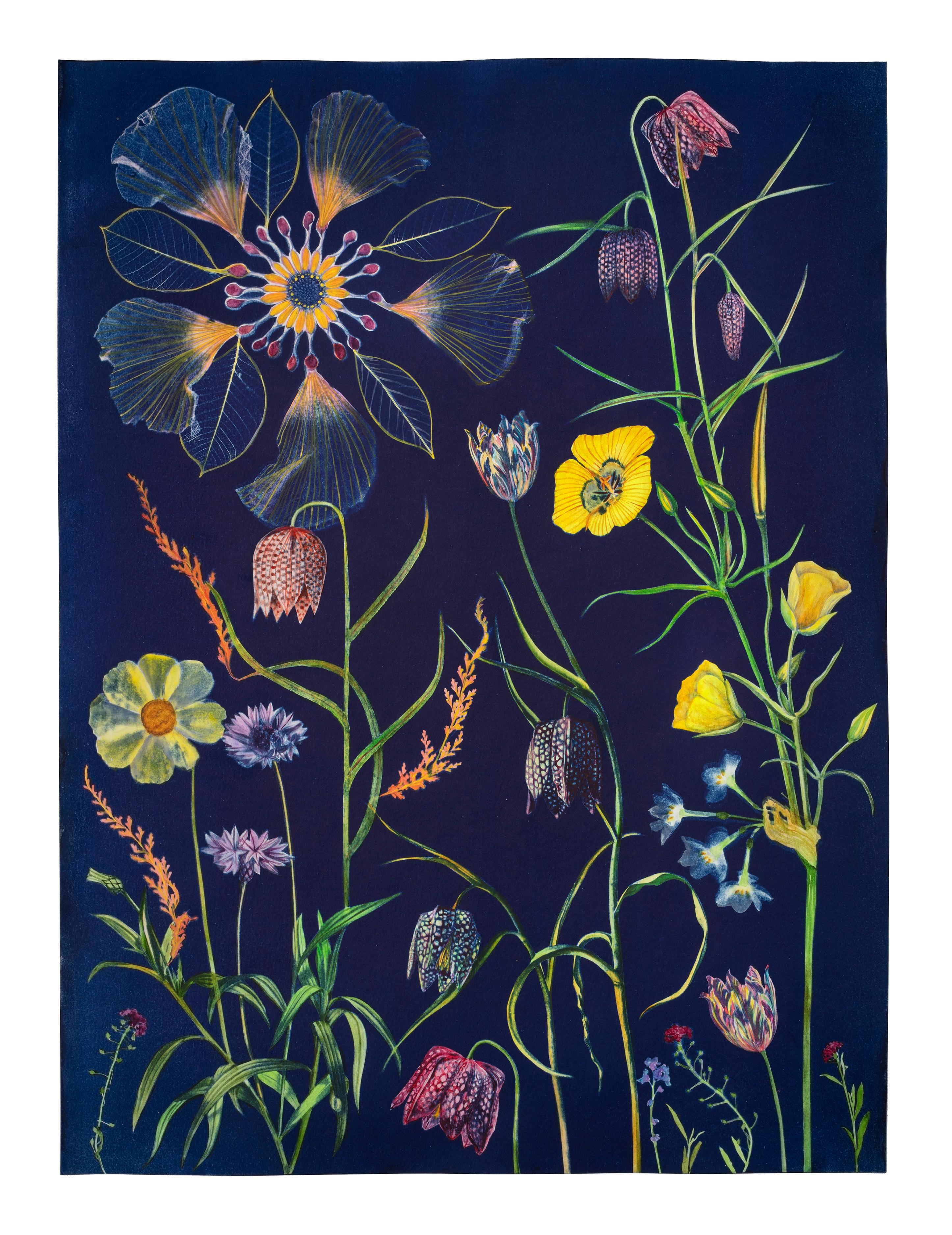 Cyanotype Painting Fritillarias, Cosmos, Buttercup, Botanical Painting on Blue - Art by Julia Whitney Barnes