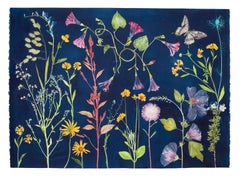 Cyanotype Painting Morning Glories, Rose of Sharon, Hellen, Flowers, Butterflies