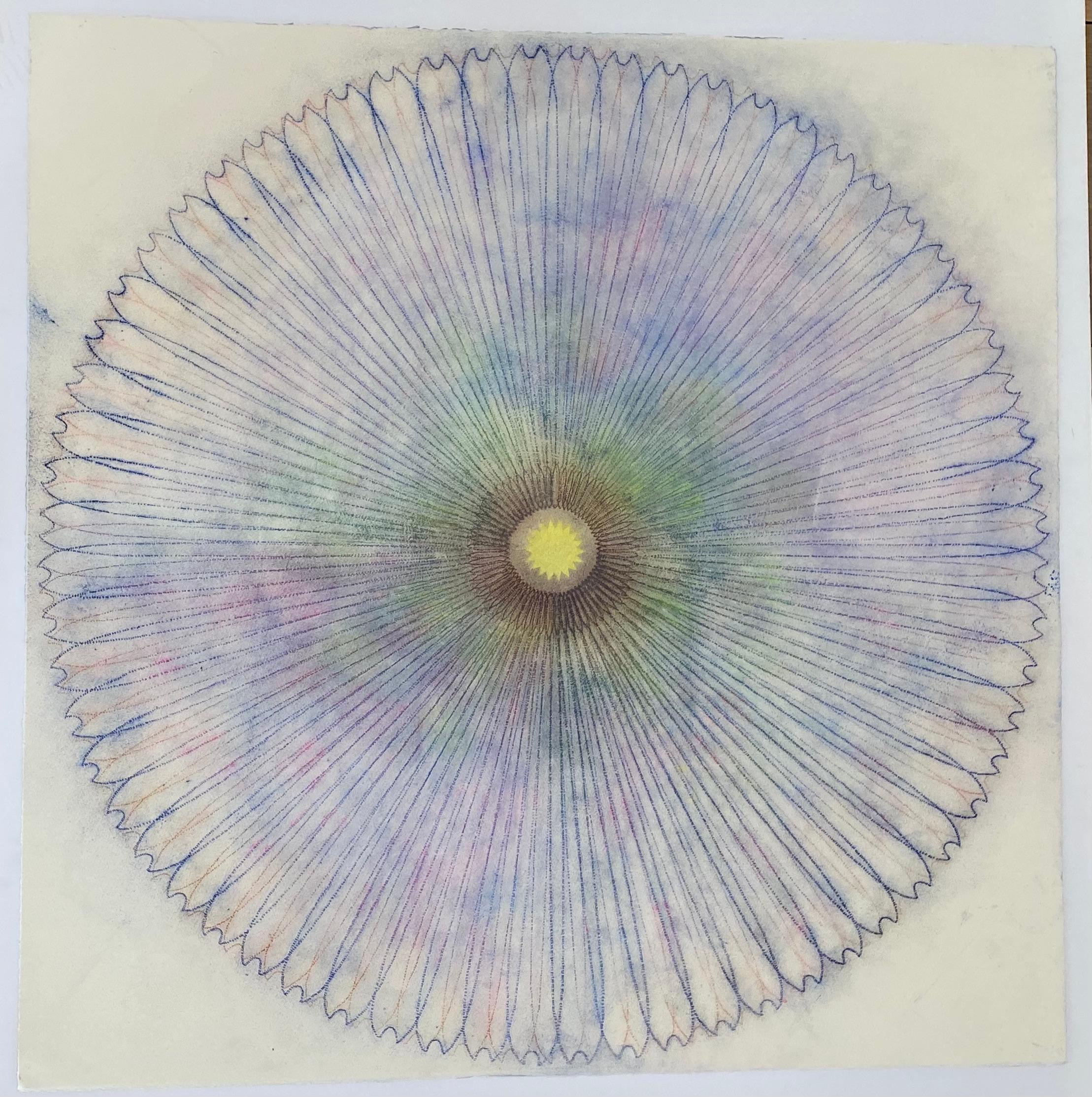 Primavera Pop 23, Geometric Flower Mandala, Purple, Violet, Brown, Yellow - Art by Mary Judge