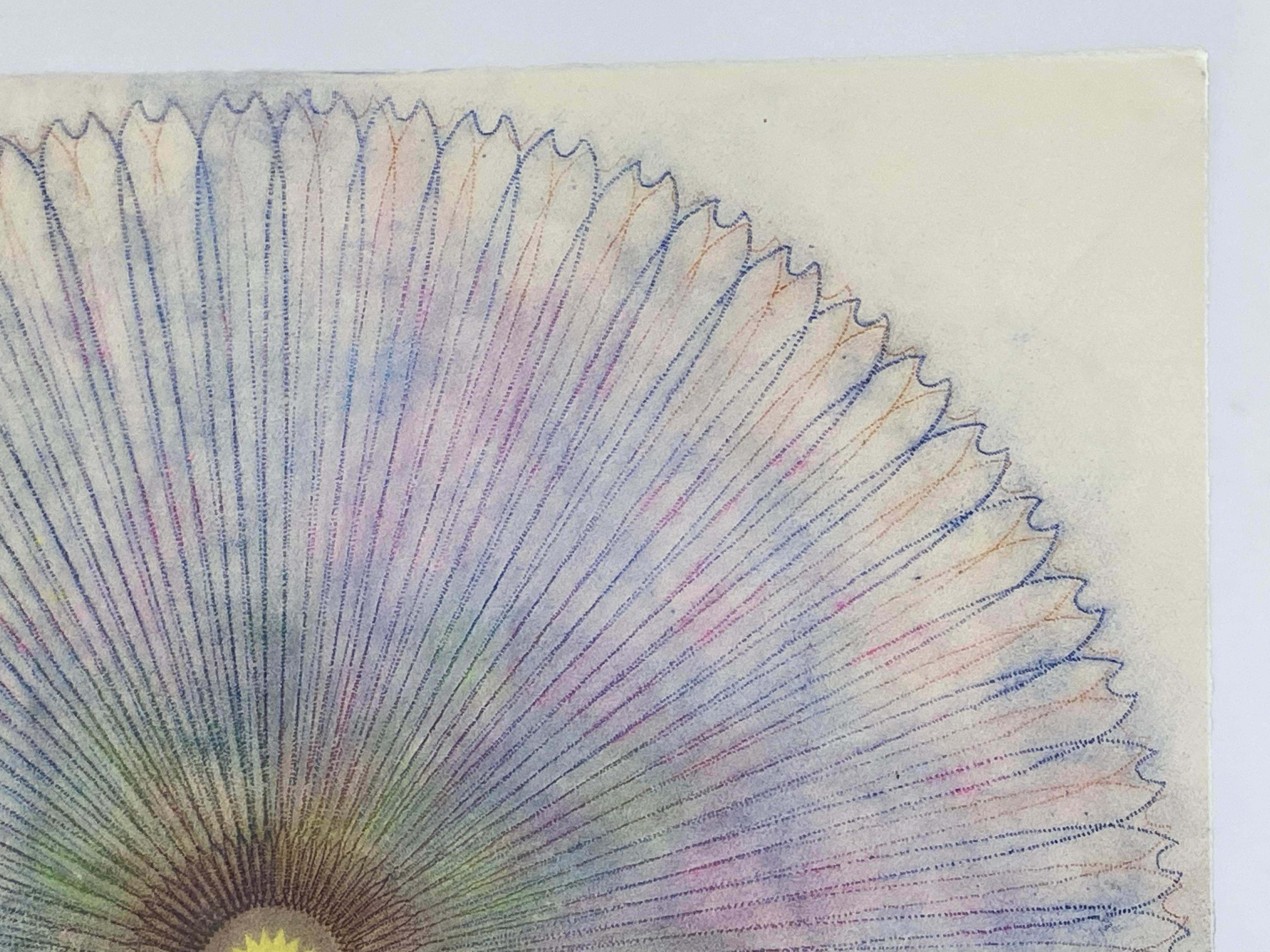 This multicolored drawing has a beautiful, soft mottled texture created with Judge's unique powered pigment technique. Primavera Pop 23 is a predominantly violet purple geometric flower mandala shape in delicate lines creating an intricately layered