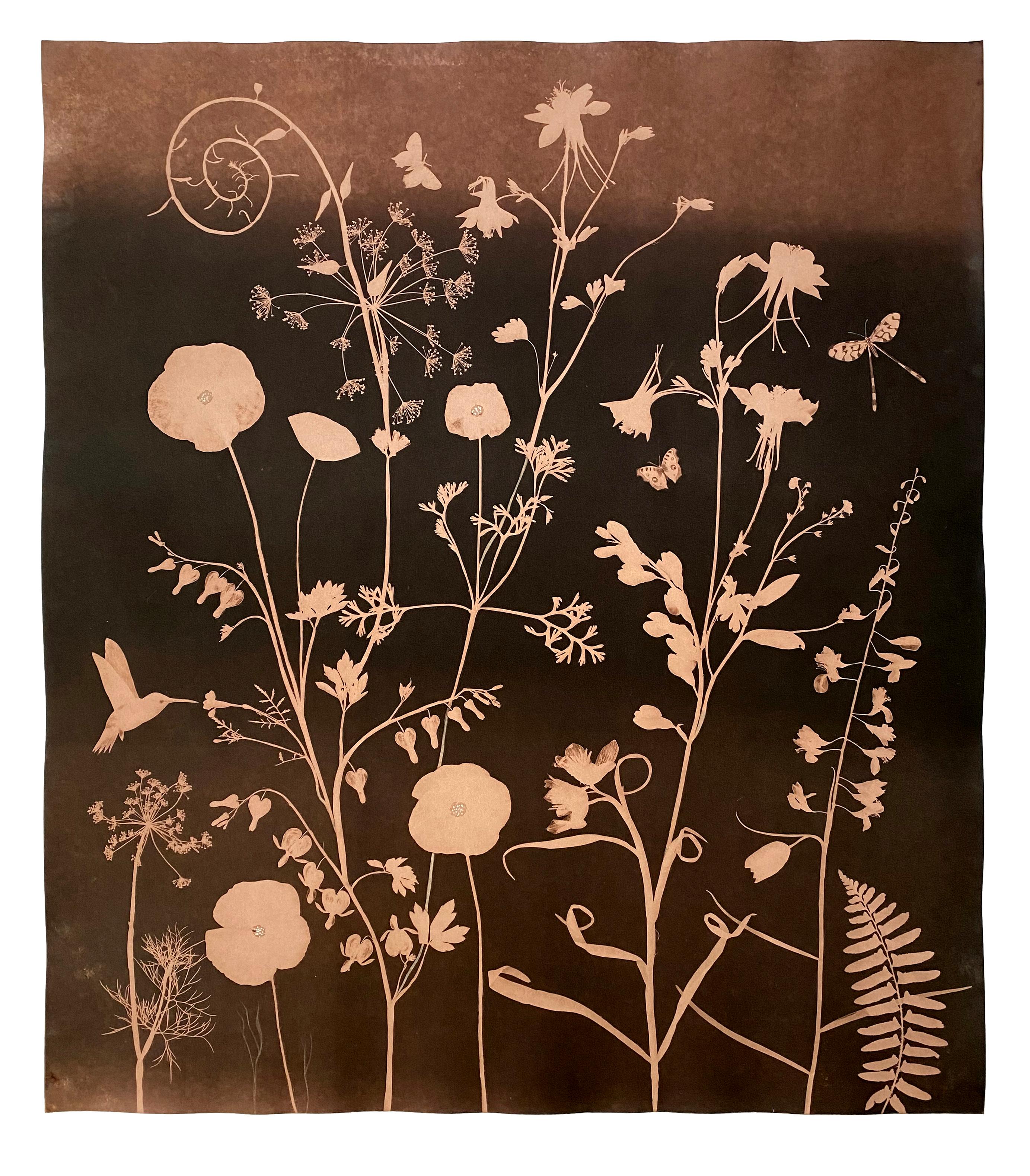 Cyanotype Painting, Tea Toned Poppies, Bleeding Hearts, Hummingbird, Botanical - Art by Julia Whitney Barnes