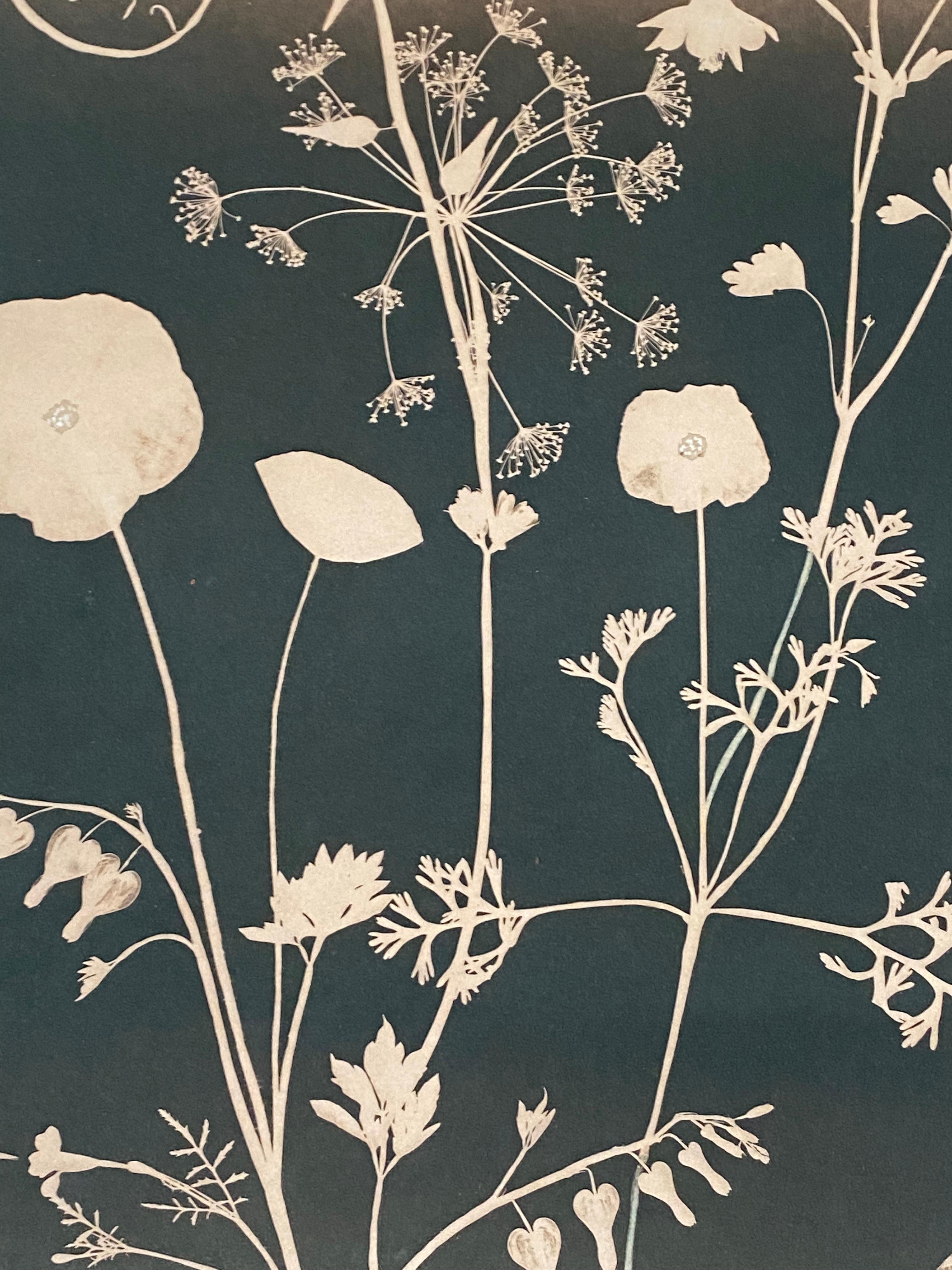 In this vertical work in watercolor, gouache, and tea toned cyanotype on cold press watercolor paper, a cyanotype print impression of flowers, including poppies, bleeding hearts, and a humming bird are depicted in a luminous shade of pale sienna