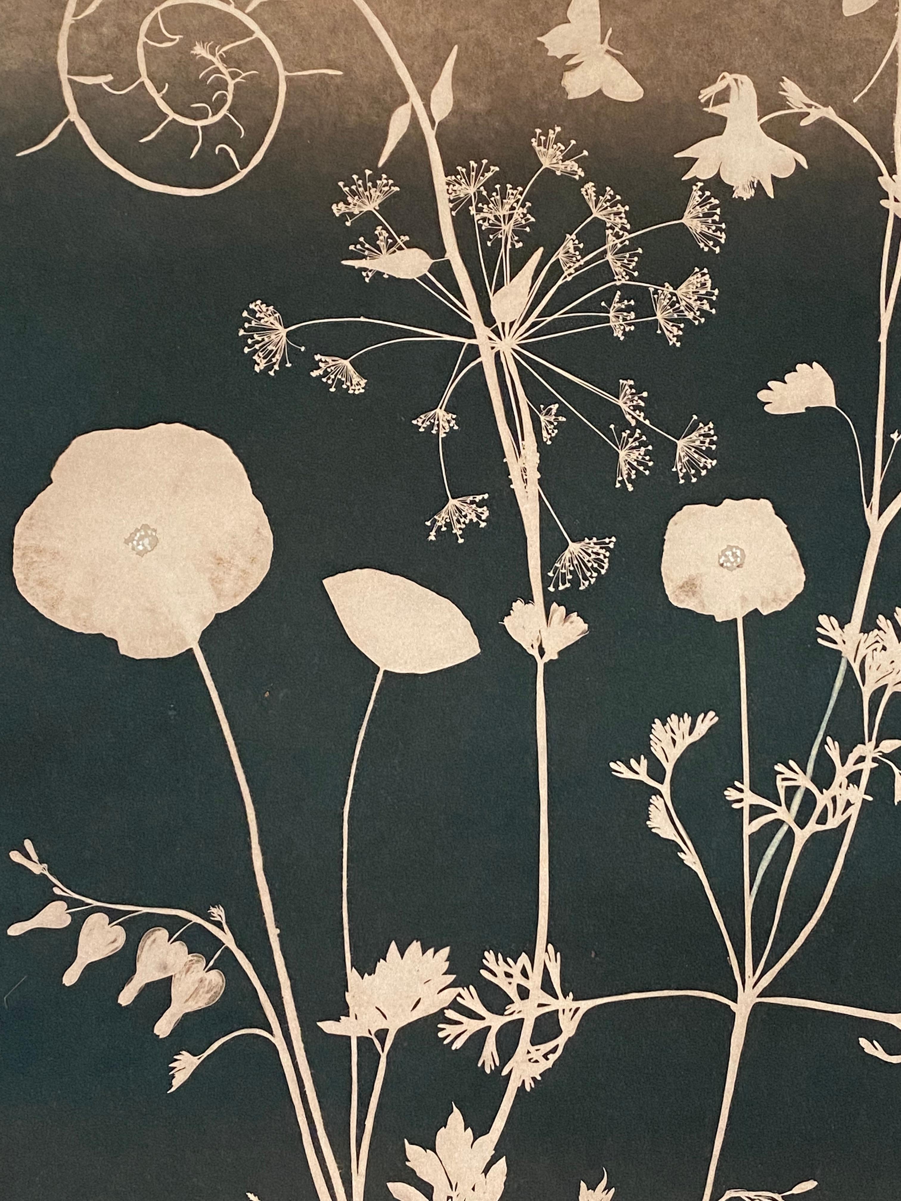 Cyanotype Painting, Tea Toned Poppies, Bleeding Hearts, Hummingbird, Botanical For Sale 1
