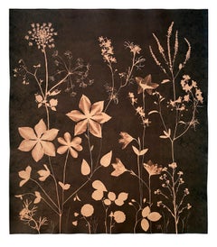 Cyanotype Painting Tea Toned Clematis, Queen Annes Lace Botanical Painting Brown