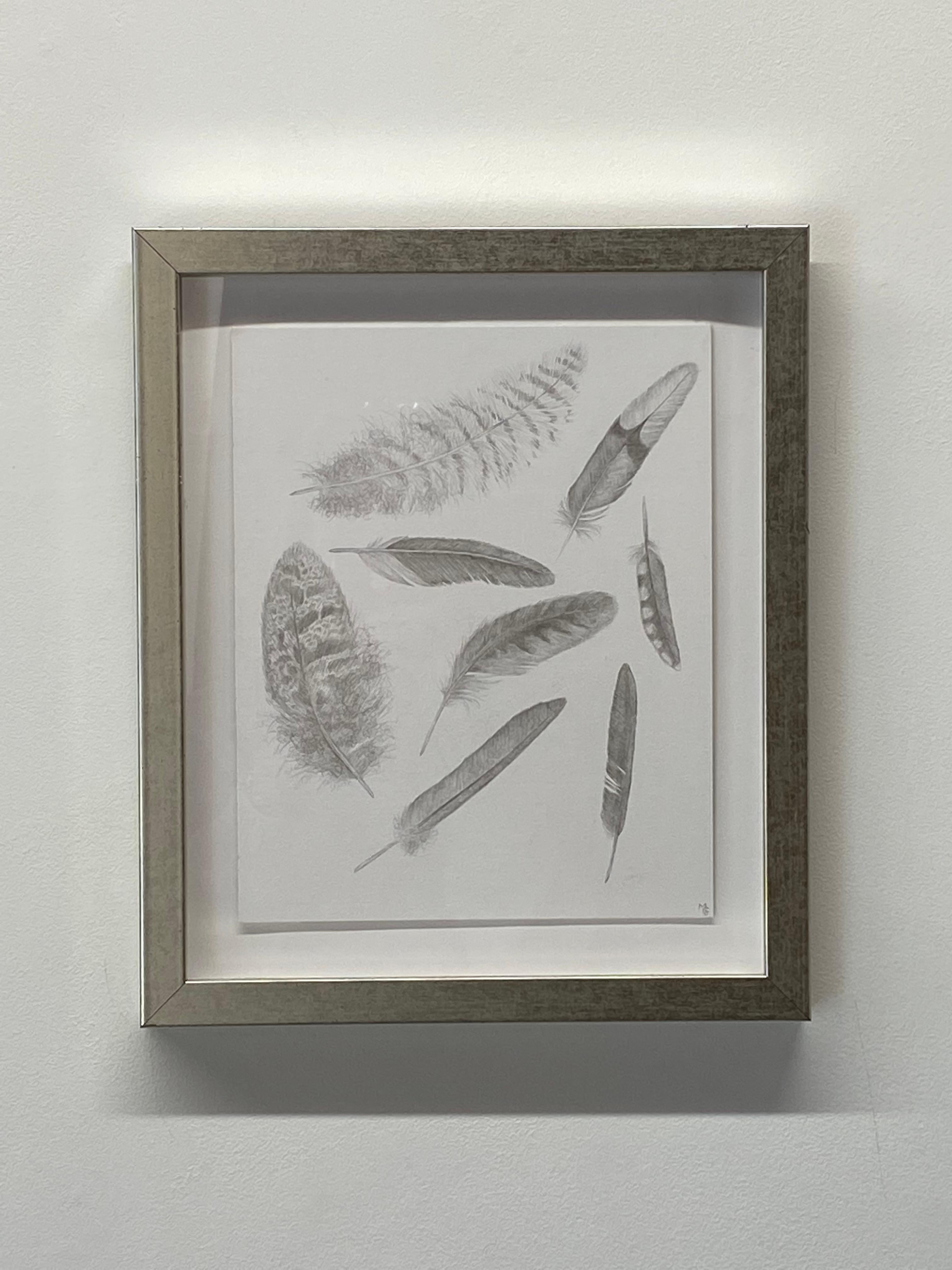 Federgruppe Vier, Silberpunktzeichnung, Vogelfedern, Weichgrau auf Weiß – Art von Margot Glass