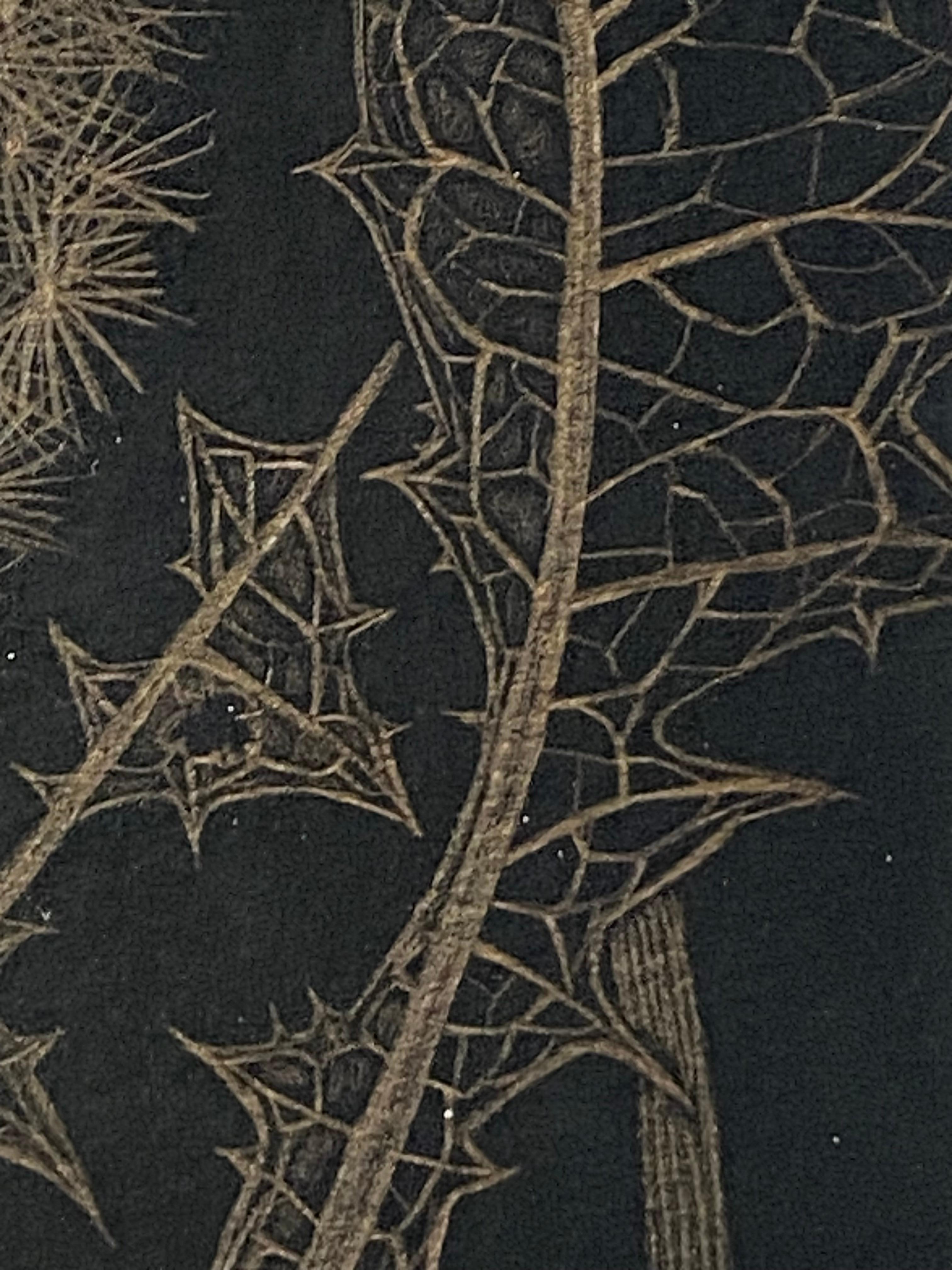Dandelion with Two Buds, Botanical Drawing on Black Paper Made With 14K Gold 5