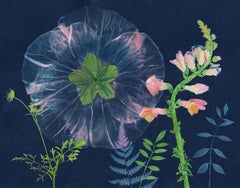 Cyanotype Painting Giant Hibiscus, Pink Flower, Green Stems, Botanical on Blue