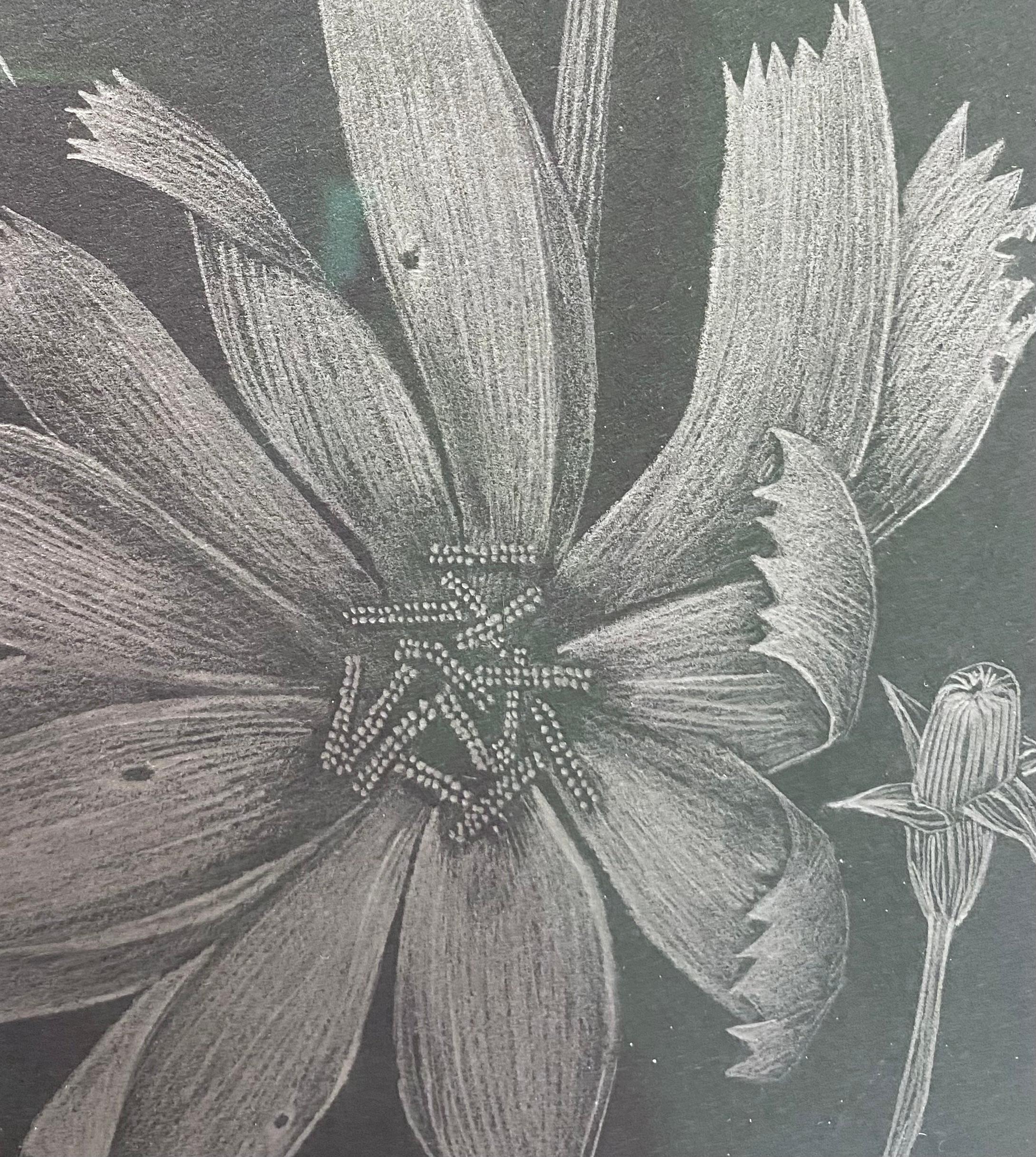 Chicory Two, Botanical Drawing on Black, Metallic Silver Flowers, Leaves, Buds 1