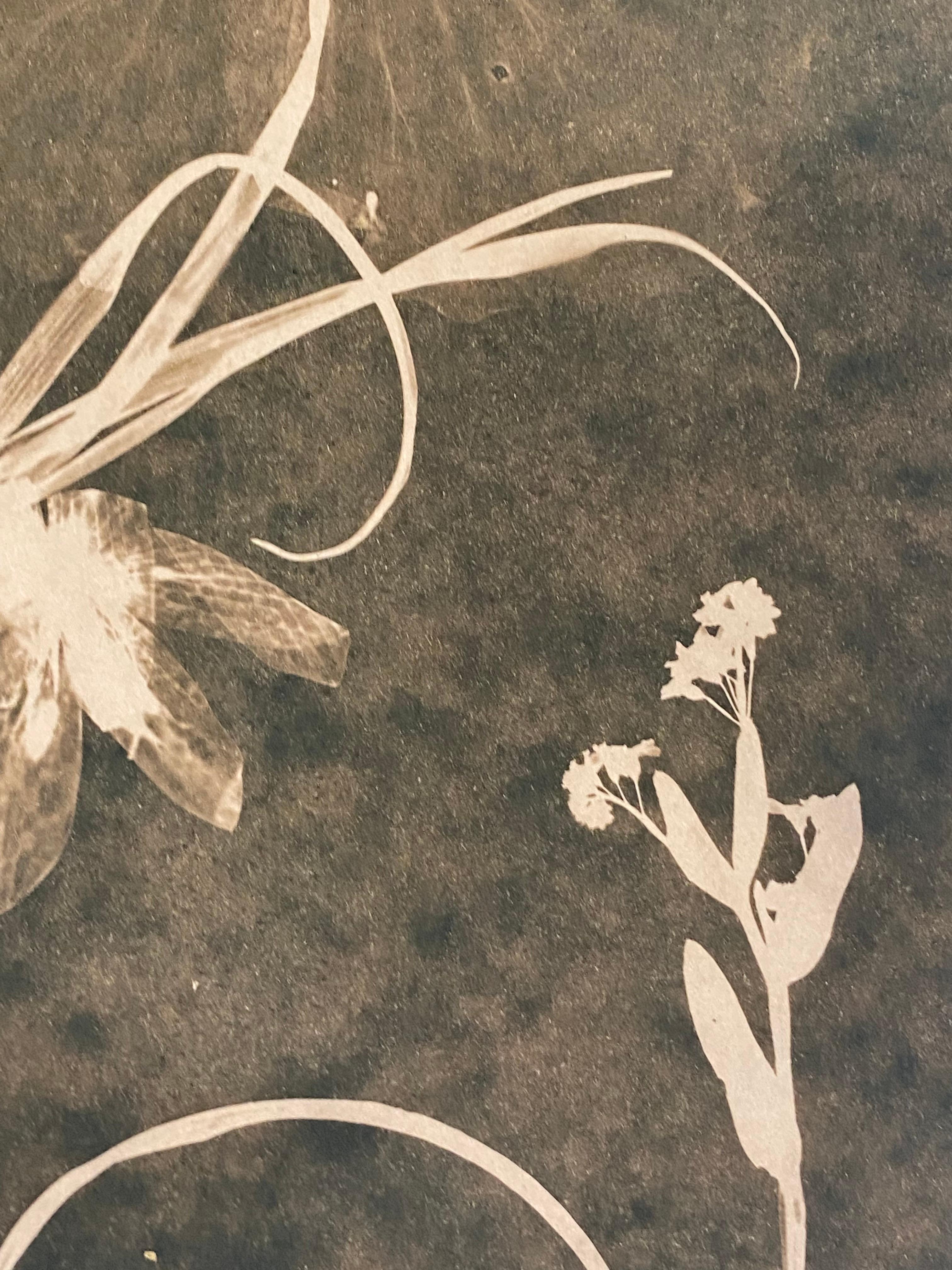 Cyanotype Painting, Tea Toned Orchids, Rose of Sharon, Sienna Botanical For Sale 2