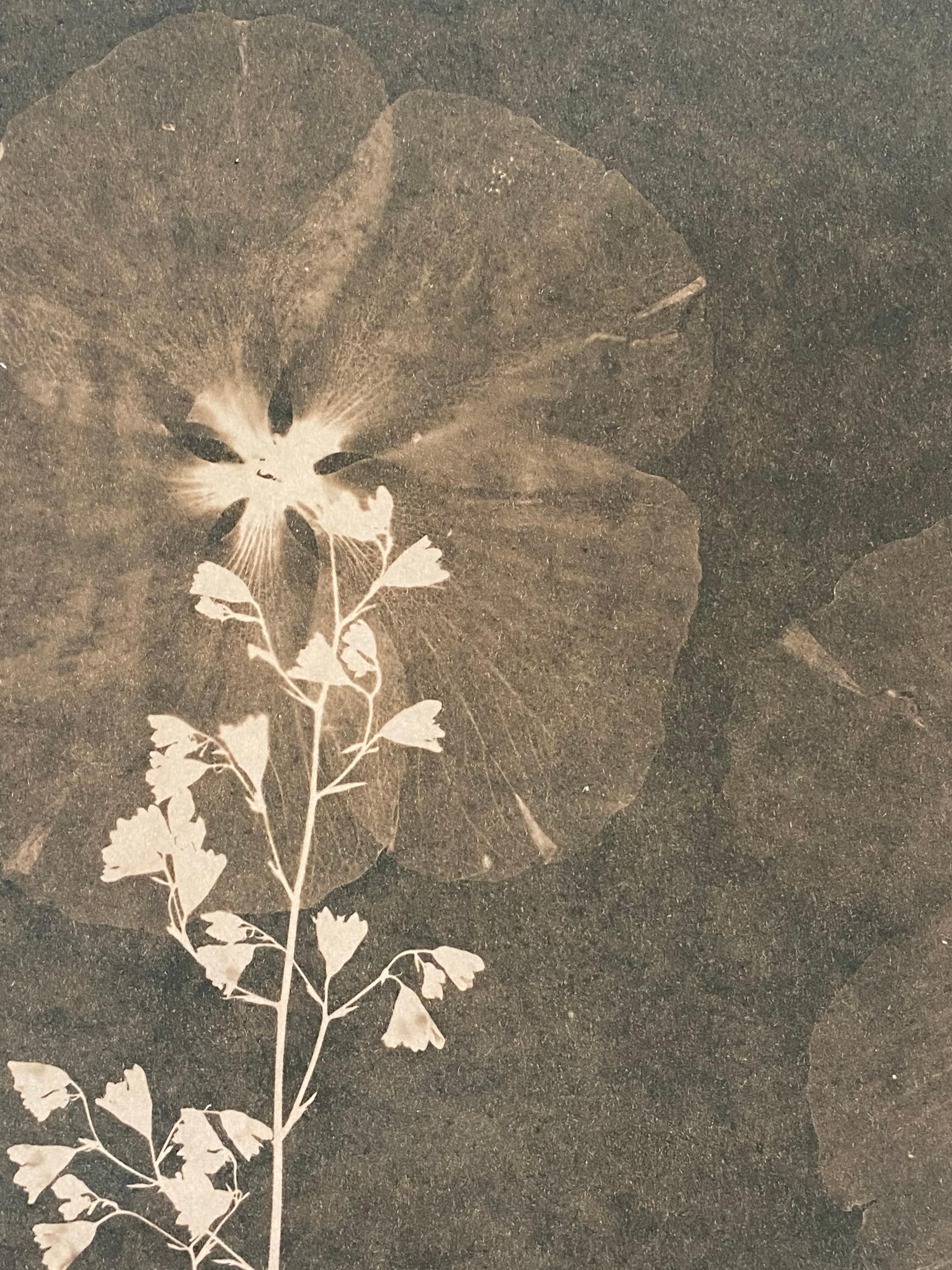 In this vertical work in watercolor, gouache, and tea toned cyanotype on hot press watercolor paper, a cyanotype print impression of botany, including orchids, Rose of Sharon and wildflowers, are depicted in a luminous shade of pale sienna against a
