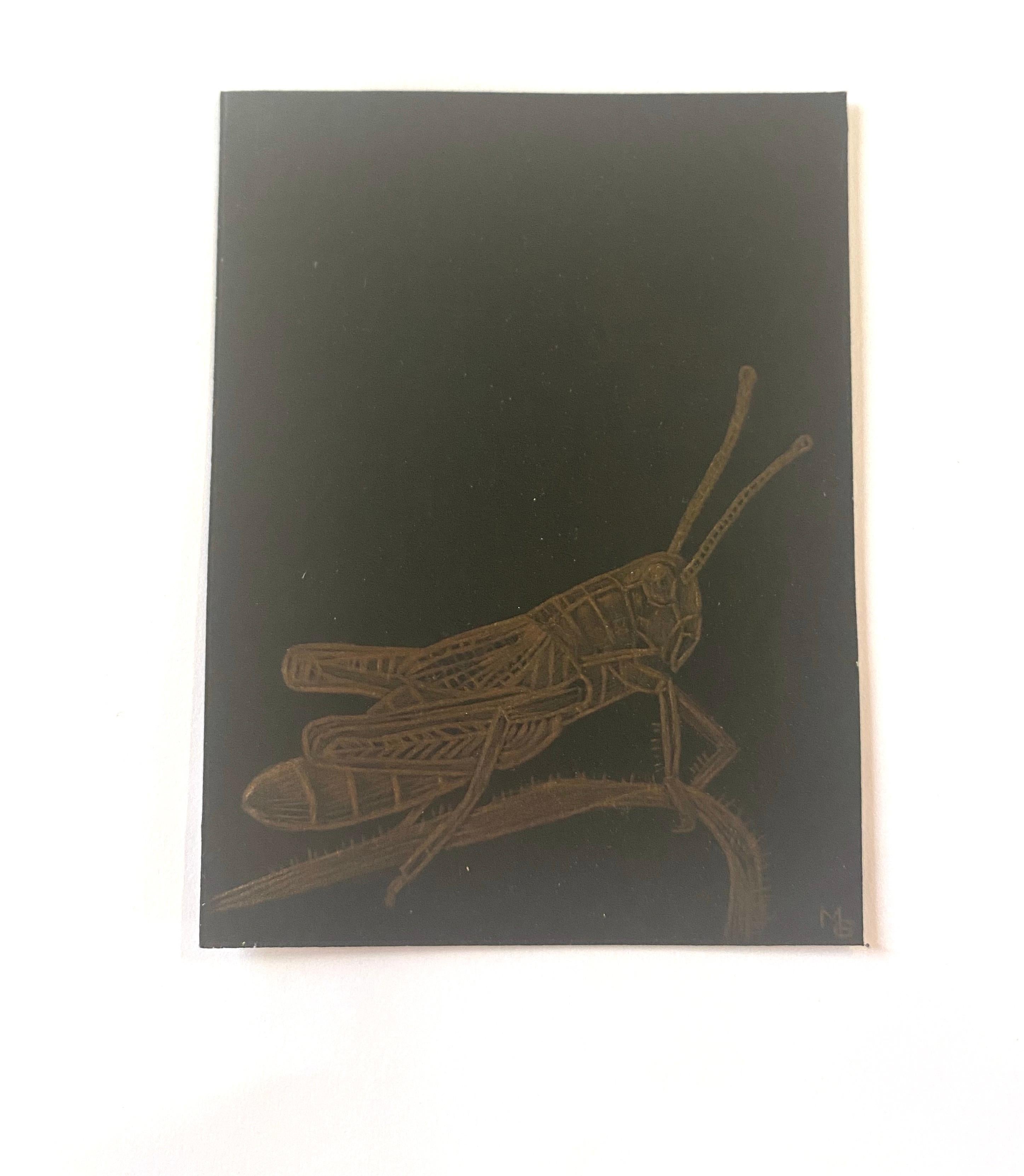 Grasshopper, Goldpoint Drawing with Insect on Twig in Gold on Black Background