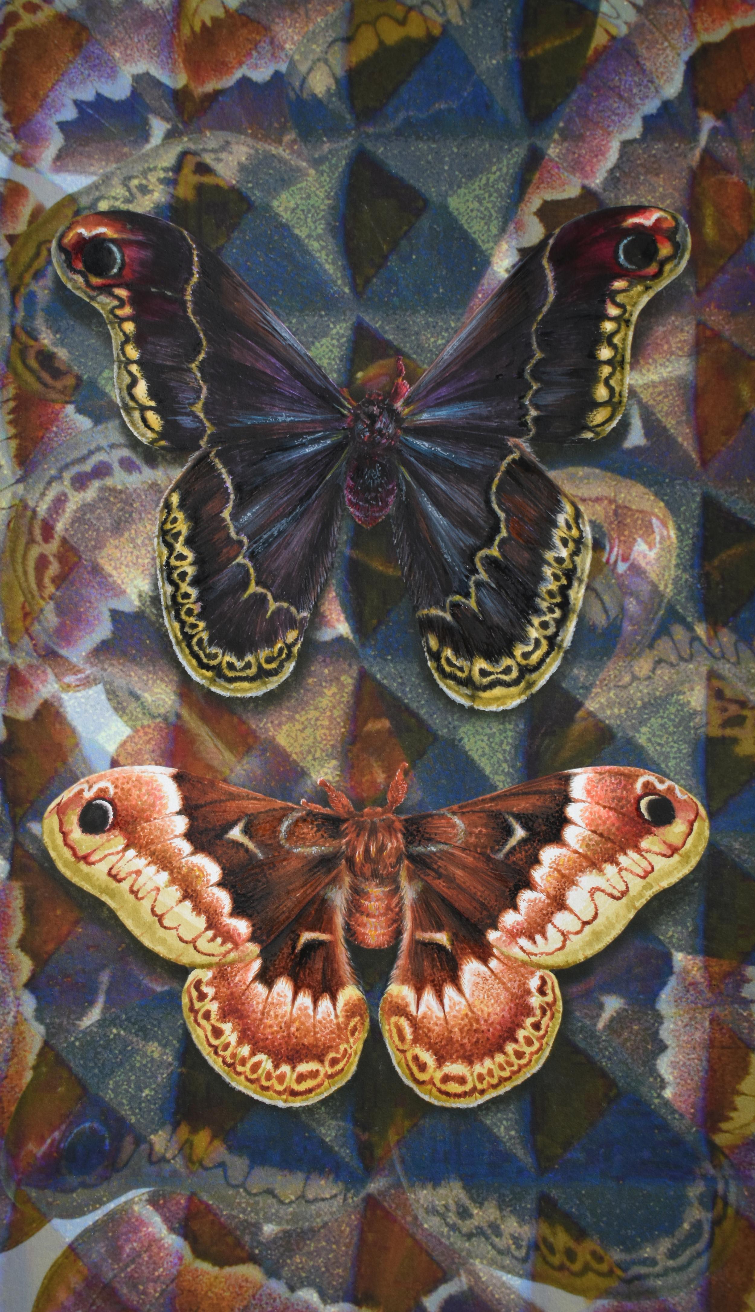 Francine Fox Animal Art - Acoustic Cloak Two, Nature Inspired Painting, Two Butterflies, Geometric Pattern