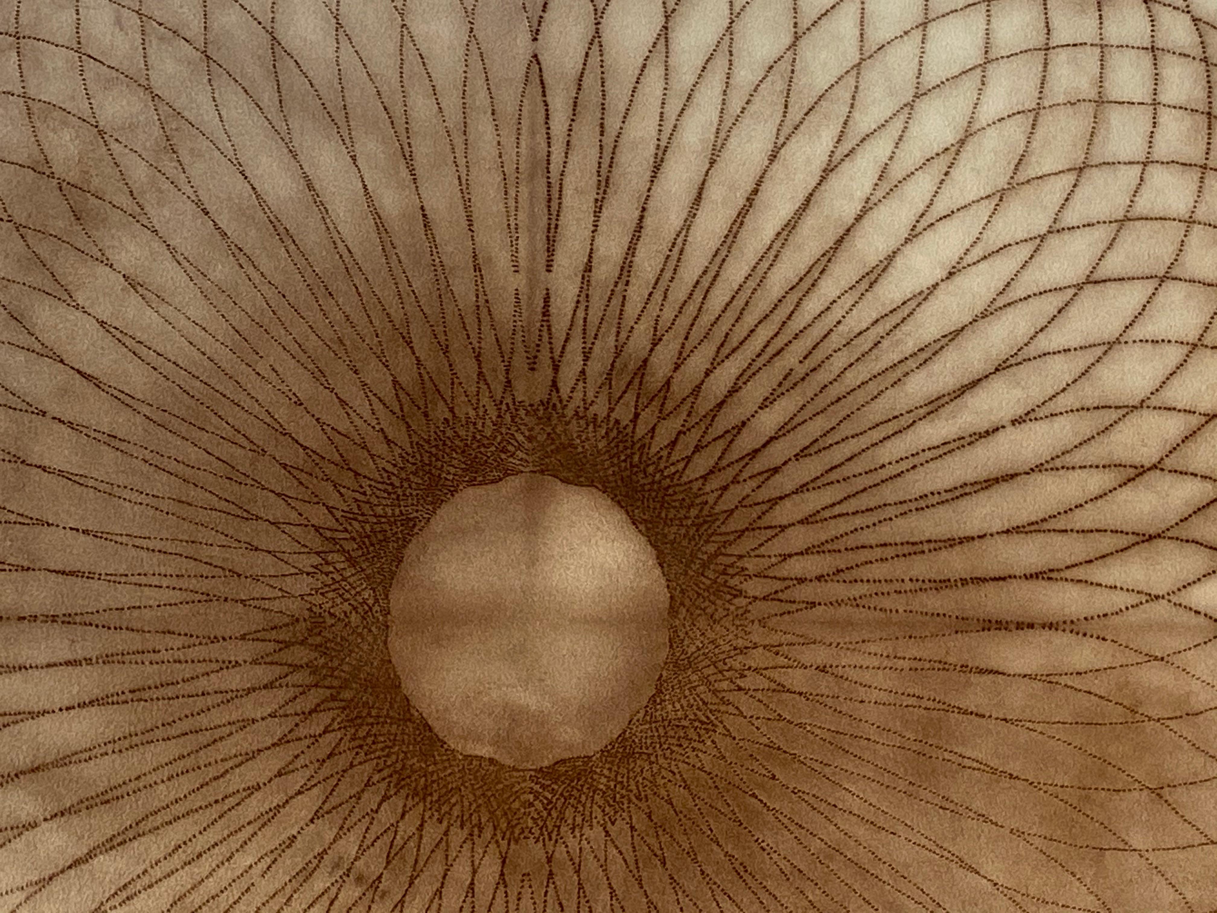 Exotic Hex Series 12 01, Square Reddish Brown Circular Mandala Line Drawing - Contemporary Art by Mary Judge