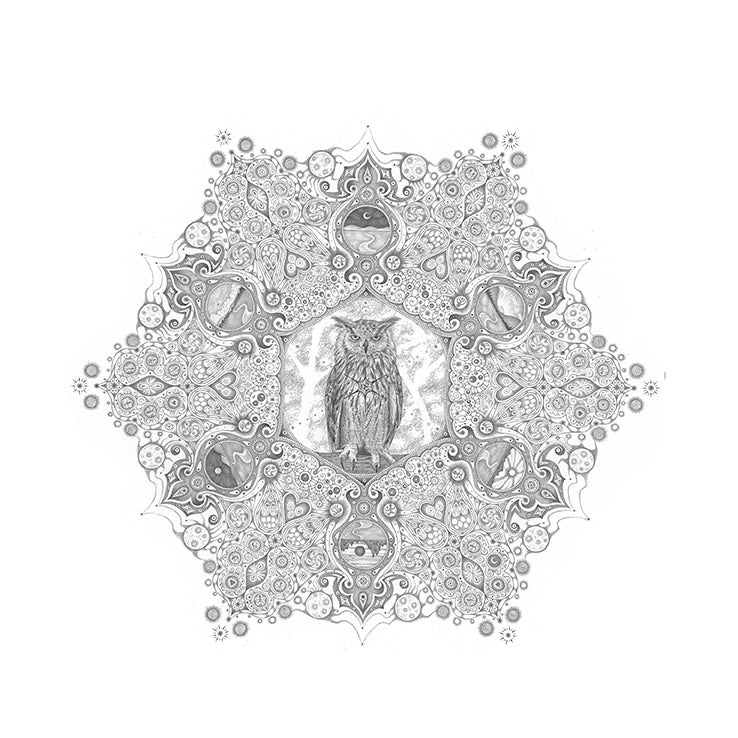 Michiyo Ihara Abstract Drawing - Snowflakes 84 Forester, Mandala Pencil Drawing, Owl, Cosmic Imagery, Landscapes