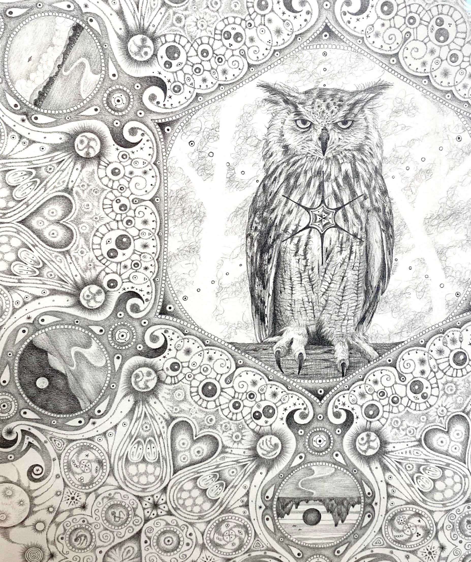 Snowflakes 84 Forester, Mandala Pencil Drawing, Owl, Cosmic Imagery, Landscapes For Sale 1