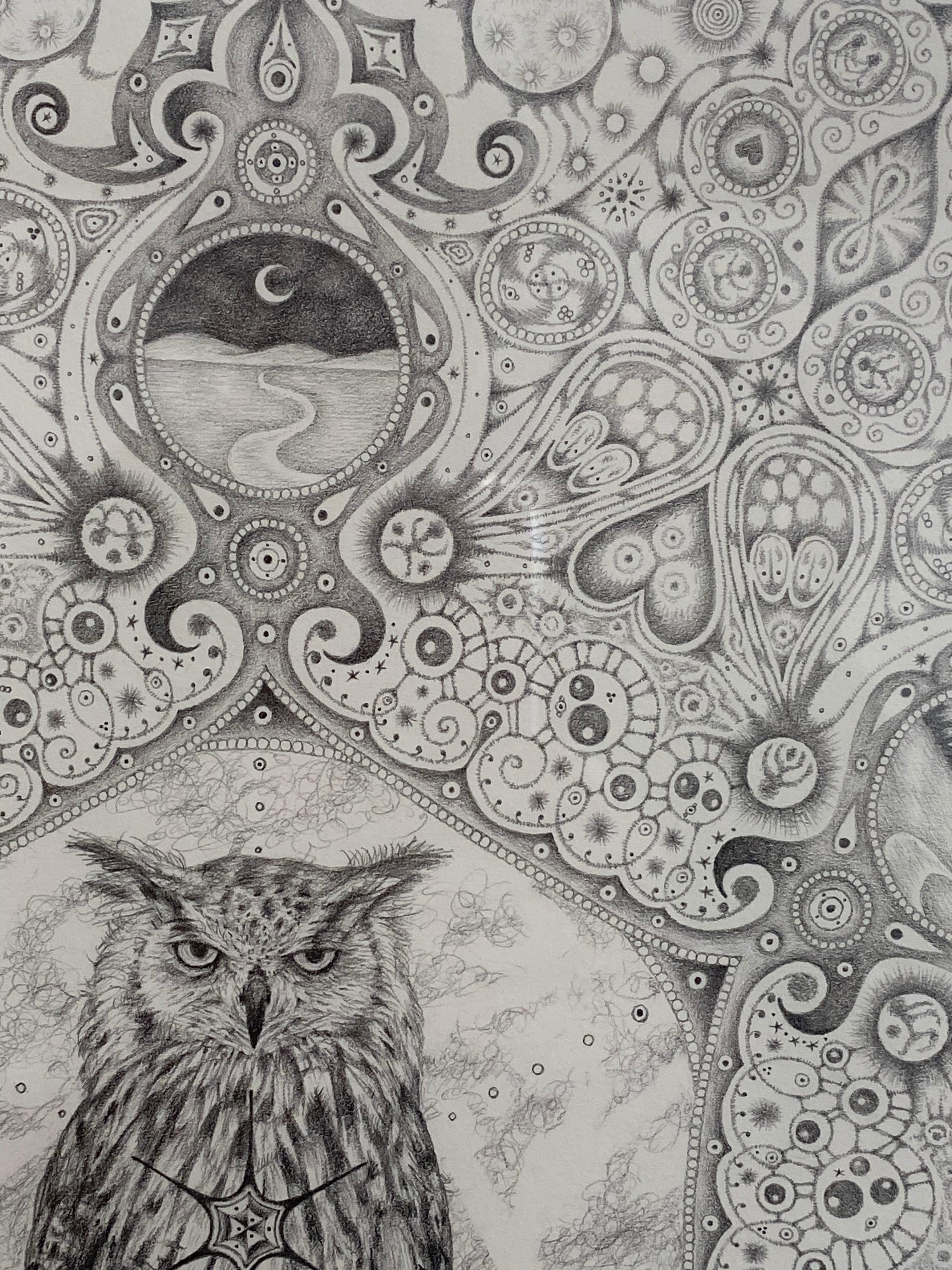 Snowflakes 84 Forester, Mandala Pencil Drawing, Owl, Cosmic Imagery, Landscapes For Sale 2