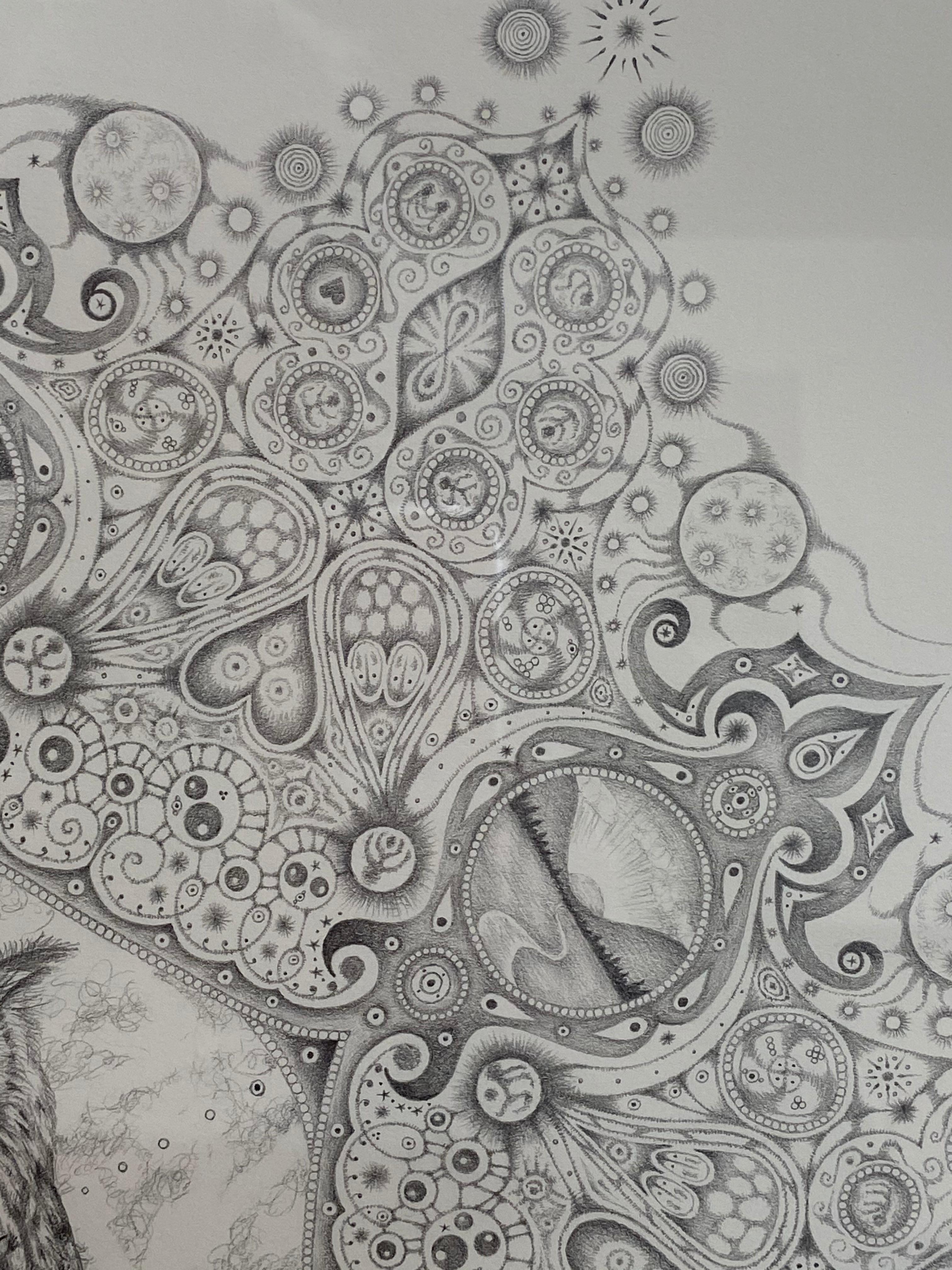 Snowflakes 84 Forester, Mandala Pencil Drawing, Owl, Cosmic Imagery, Landscapes For Sale 3