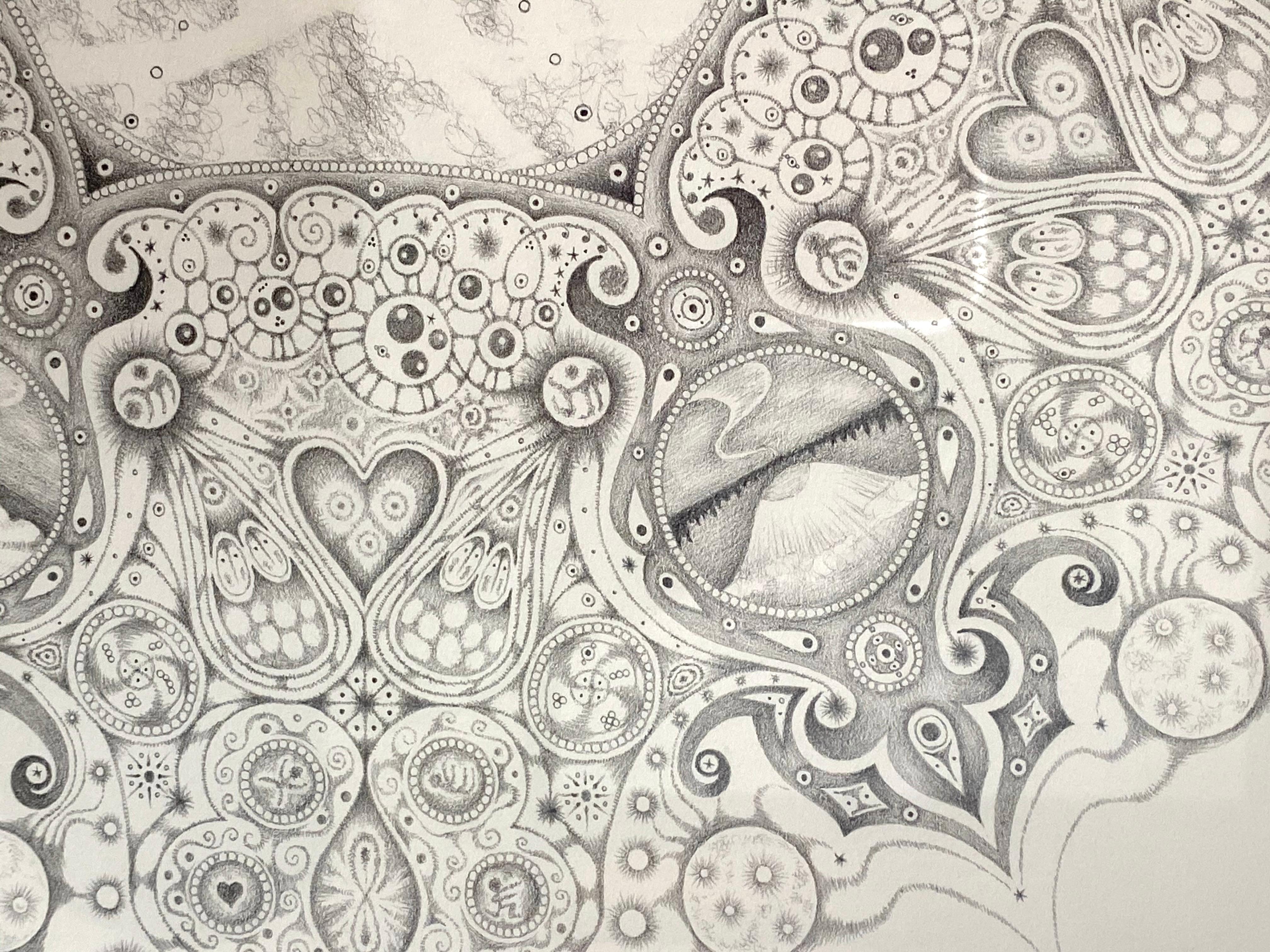 Snowflakes 84 Forester, Mandala Pencil Drawing, Owl, Cosmic Imagery, Landscapes For Sale 5