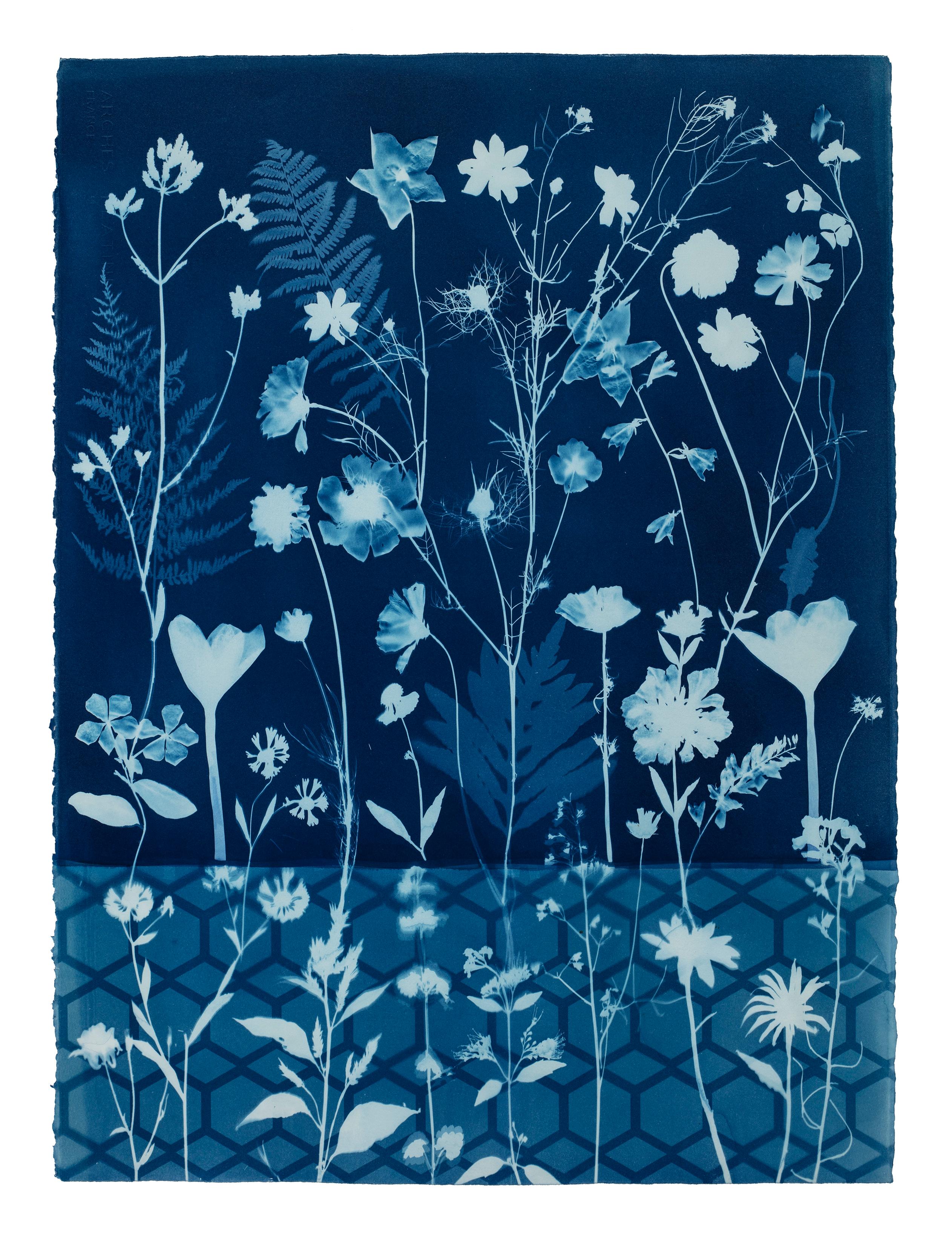 Cyanotype Painting Crocus, Star Flower, Cosmos, Ferns, Botanical Painting, Blue - Art by Julia Whitney Barnes