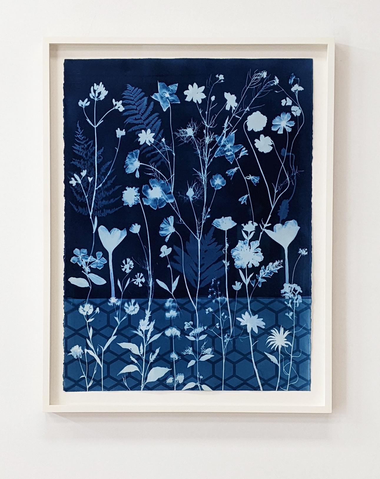 Cyanotype Painting Crocus, Star Flower, Cosmos, Ferns, Botanical Painting, Blue - Contemporary Art by Julia Whitney Barnes