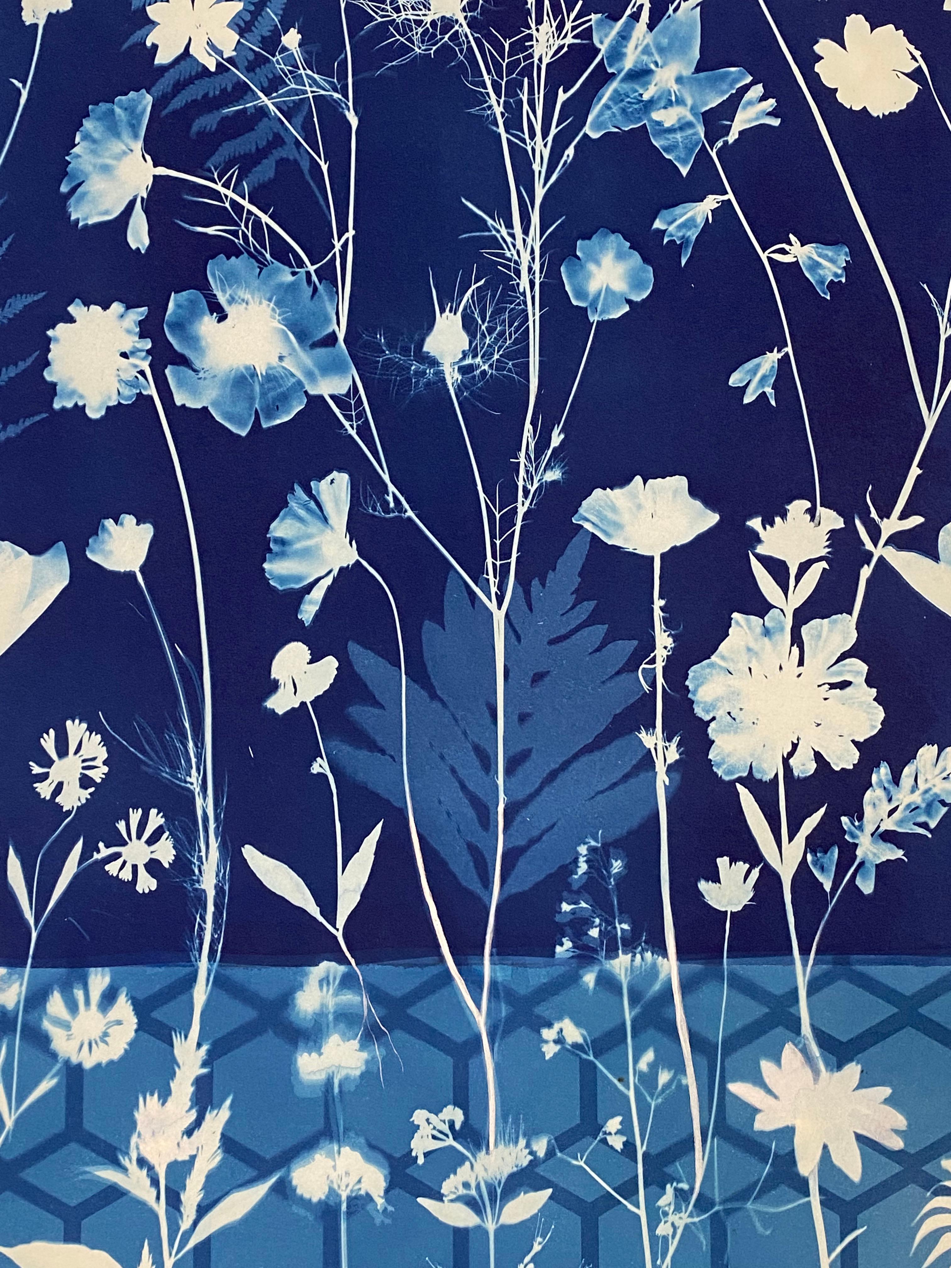 Cyanotype Painting Crocus, Star Flower, Cosmos, Ferns, Botanical Painting, Blue For Sale 1