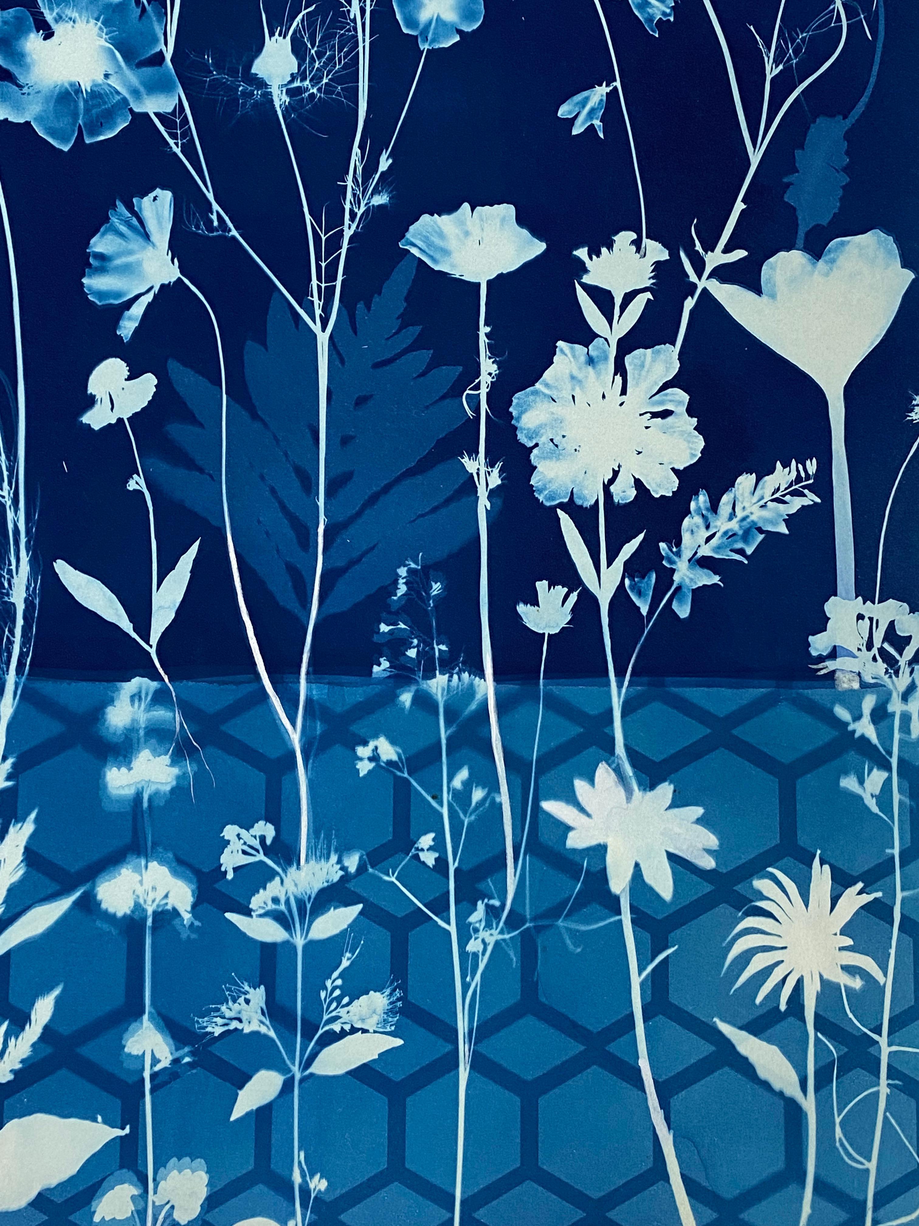 Cyanotype Painting Crocus, Star Flower, Cosmos, Ferns, Botanical Painting, Blue For Sale 2