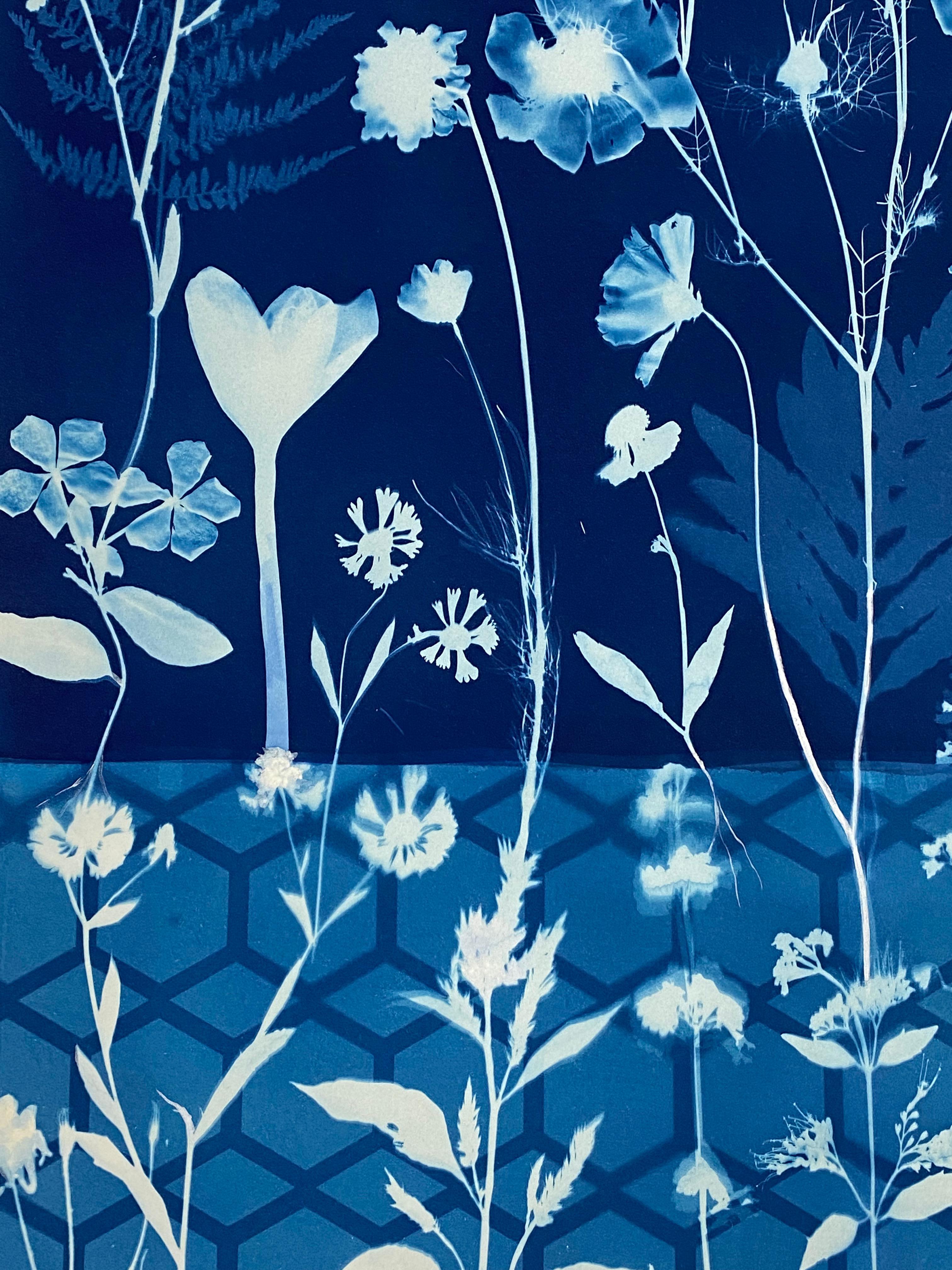 Cyanotype Painting Crocus, Star Flower, Cosmos, Ferns, Botanical Painting, Blue For Sale 3