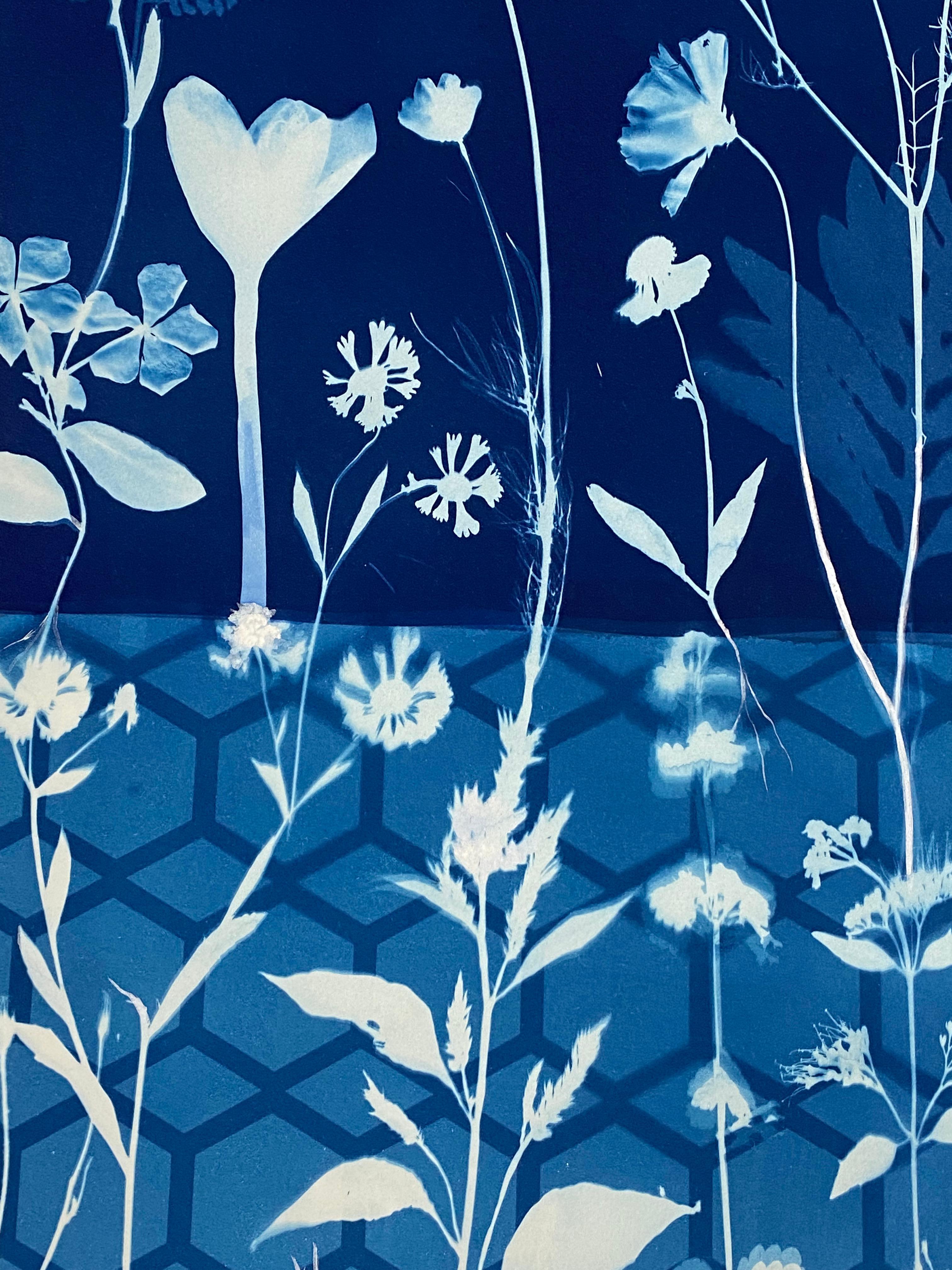 Cyanotype Painting Crocus, Star Flower, Cosmos, Ferns, Botanical Painting, Blue For Sale 5
