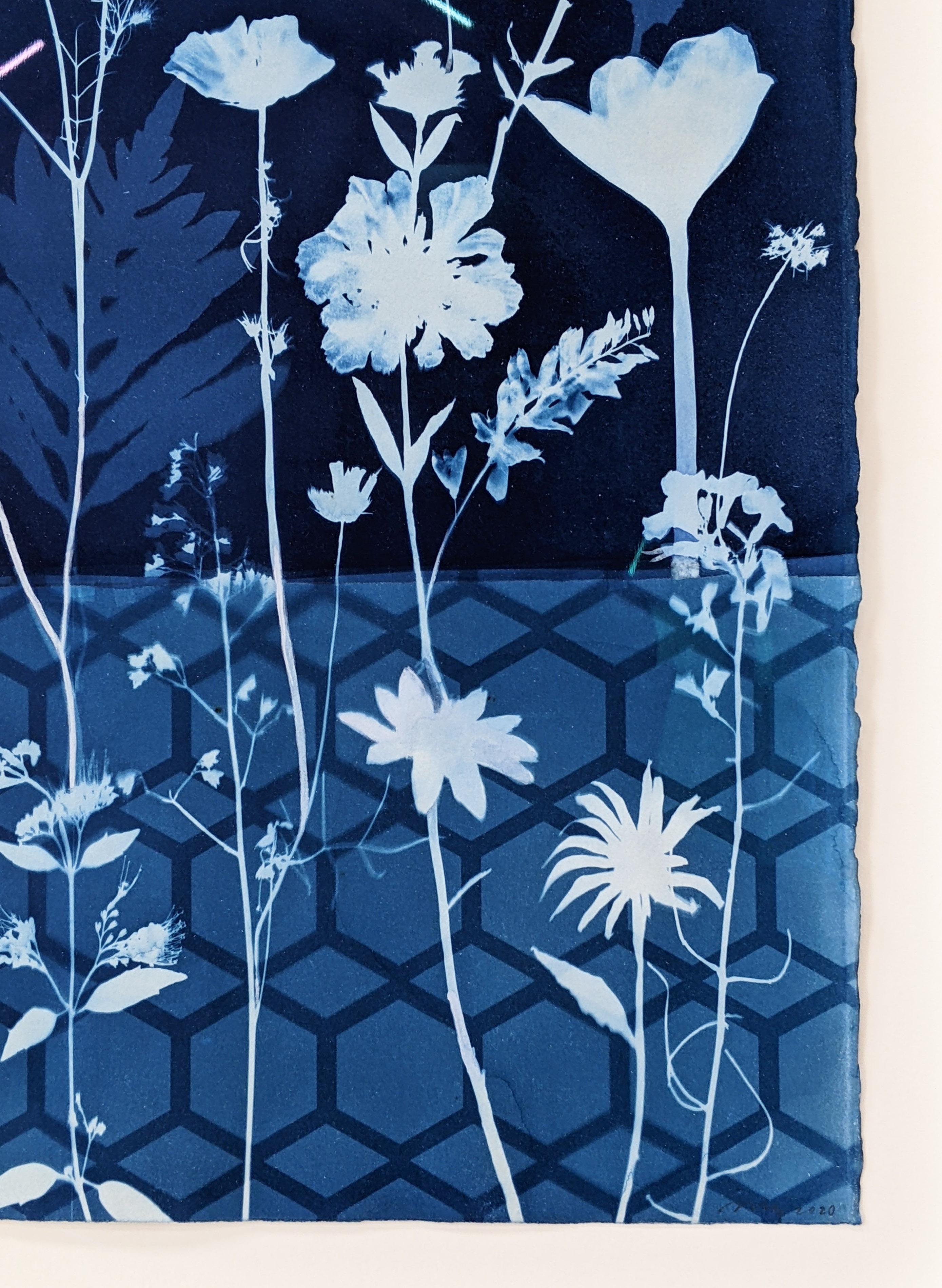 Cyanotype Painting Crocus, Star Flower, Cosmos, Ferns, Botanical Painting, Blue For Sale 8