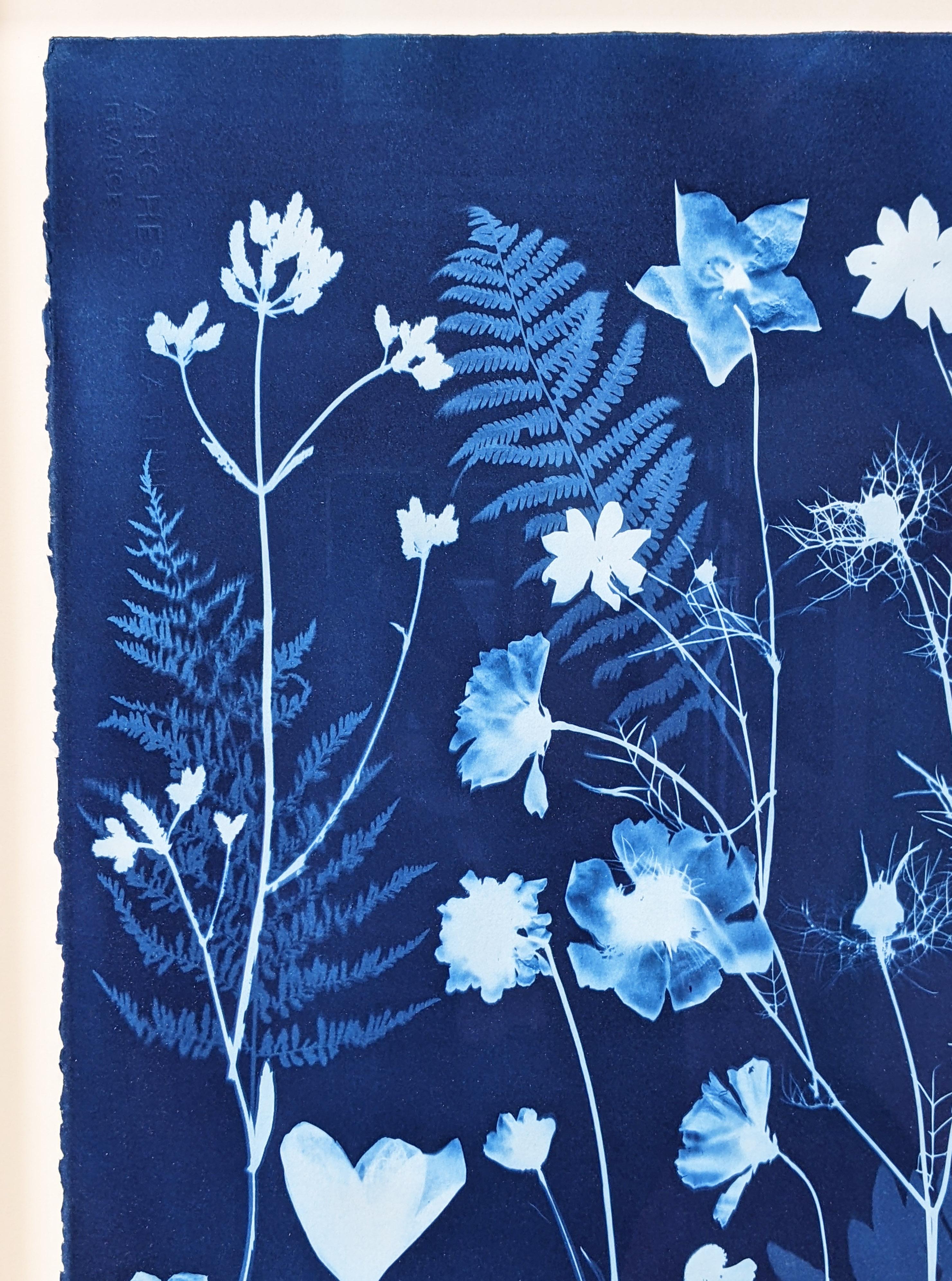 Cyanotype Painting Crocus, Star Flower, Cosmos, Ferns, Botanical Painting, Blue For Sale 9